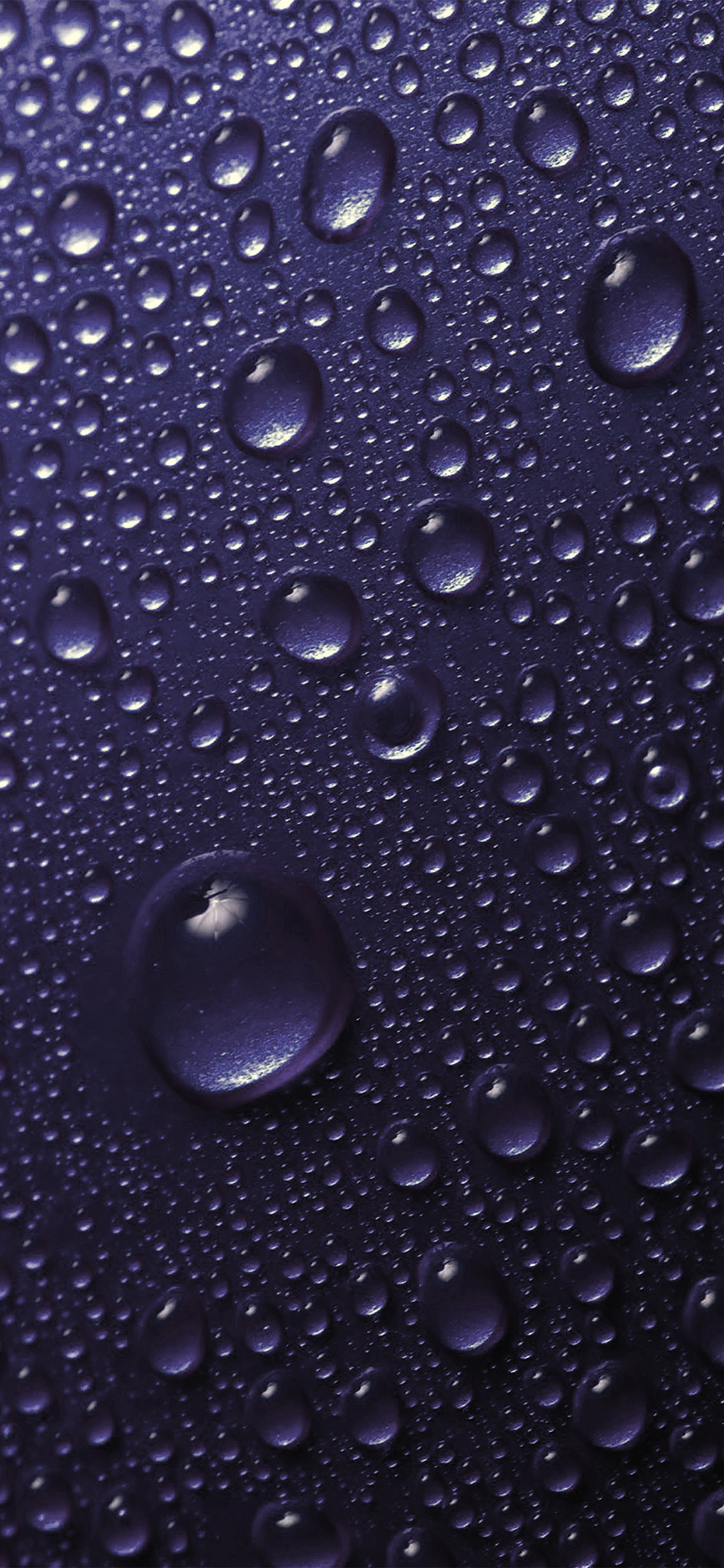 Wallpaper Purple Rain Wallpapers