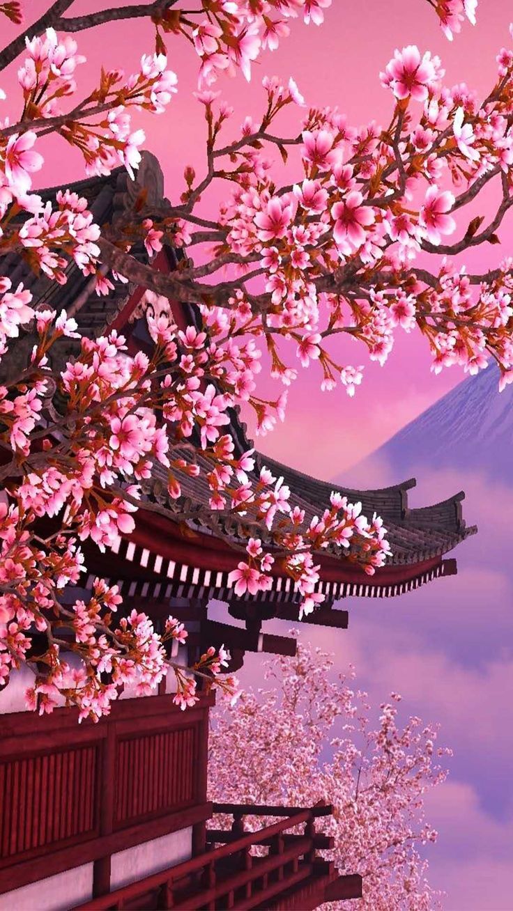 Wallpaper Red Cherry Blossom Wallpapers