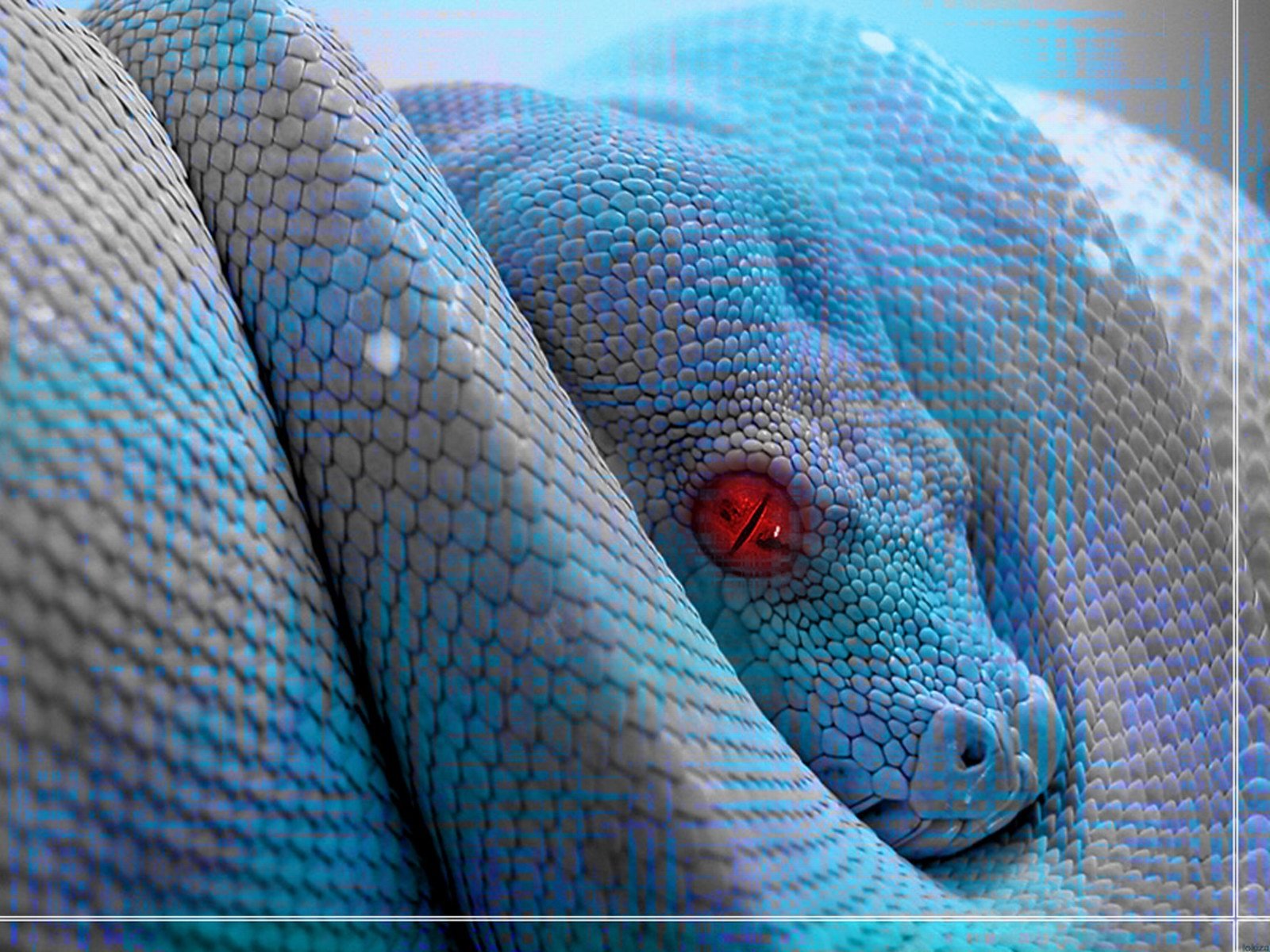 Wallpaper Snake 3D Wallpapers