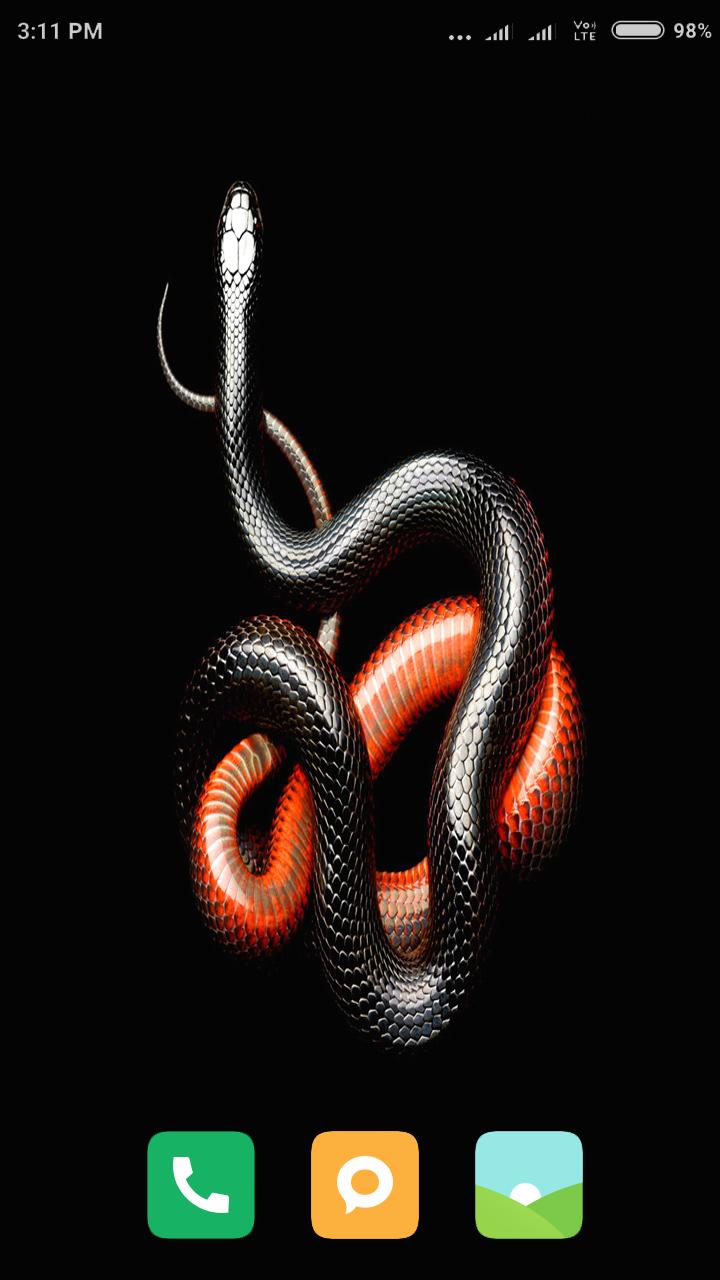 Wallpaper Snake 3D Wallpapers