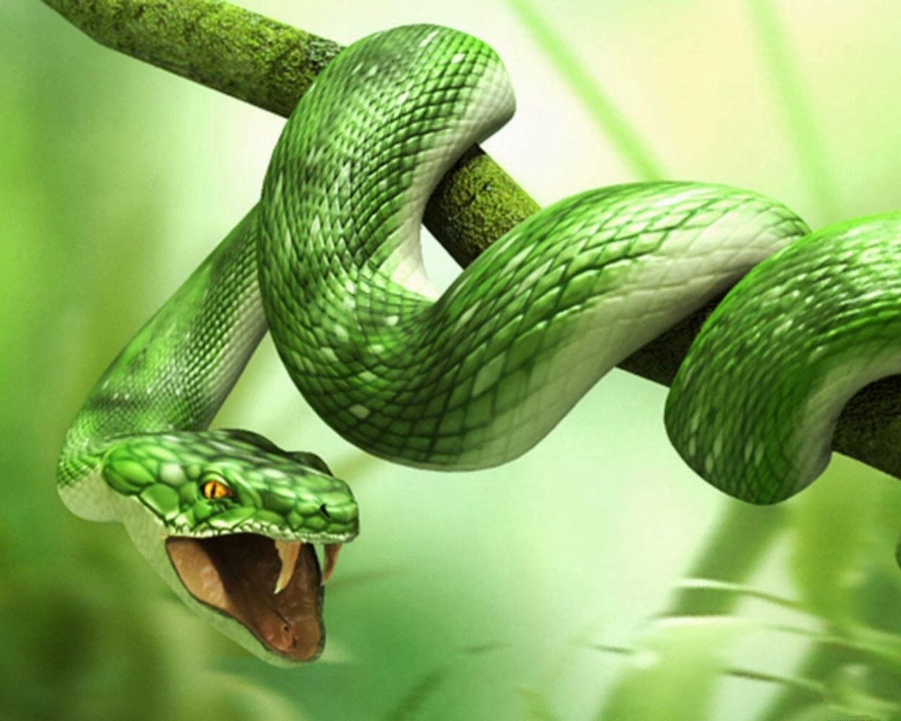 Wallpaper Snake 3D Wallpapers