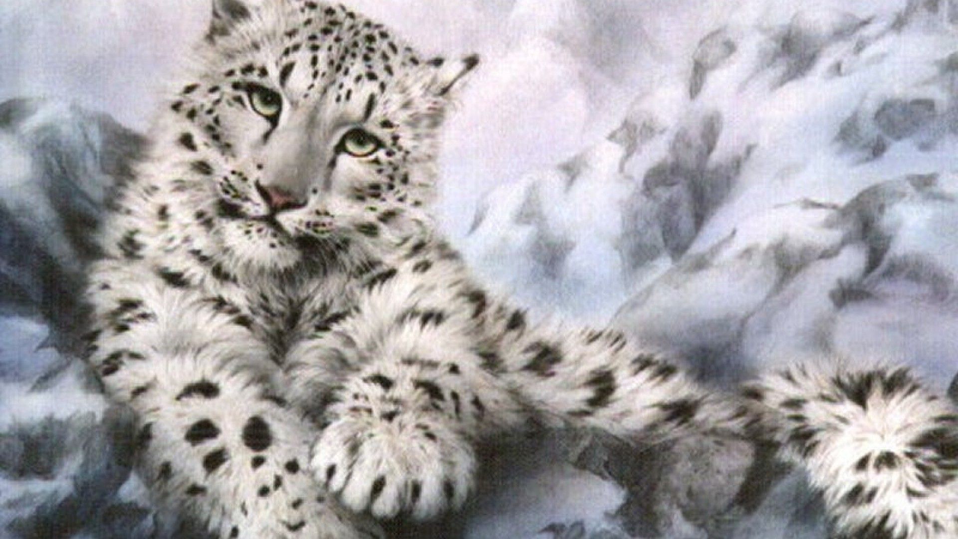 Wallpaper Snow Leopard Wallpapers