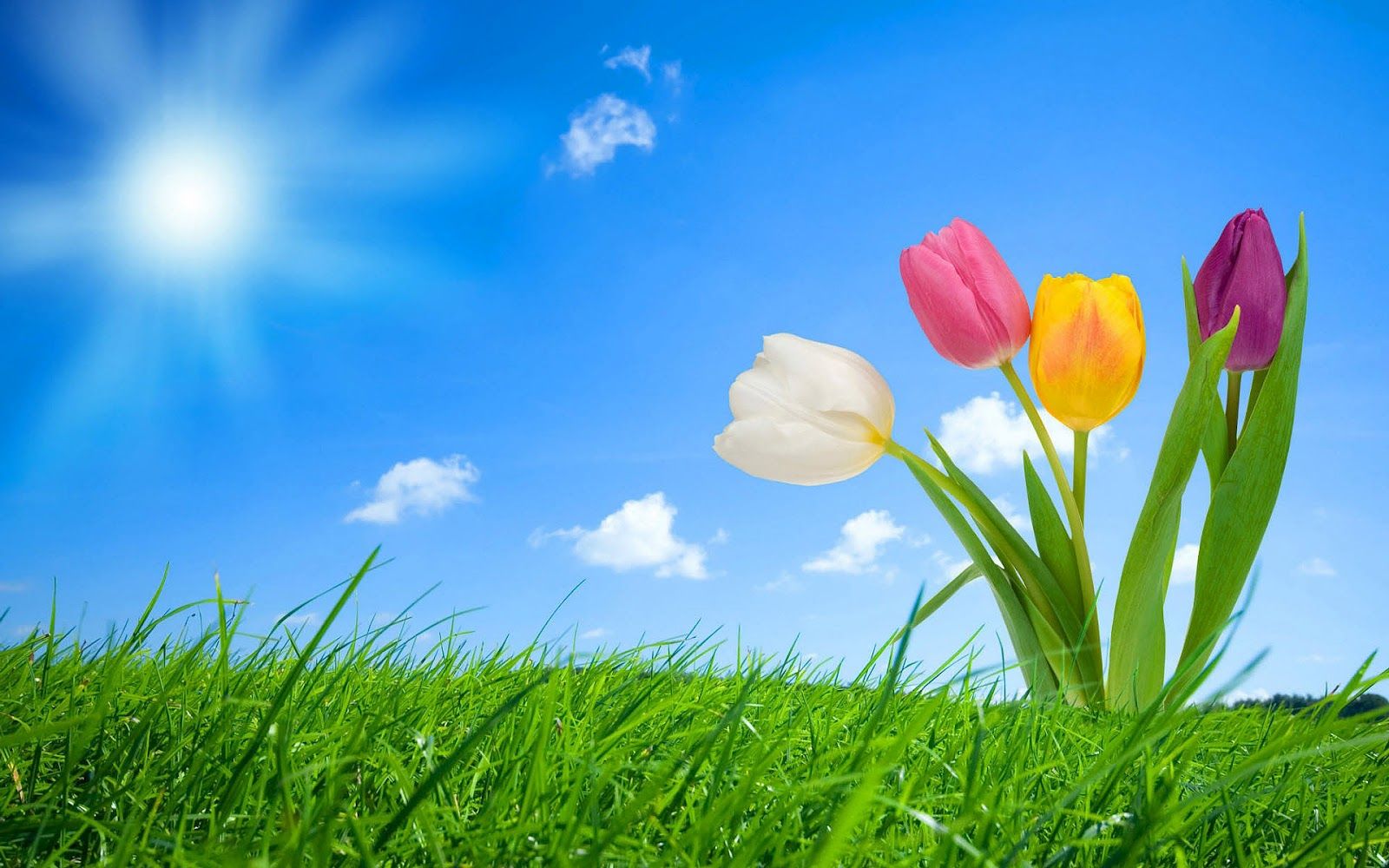 Wallpaper Spring Pictures Wallpapers