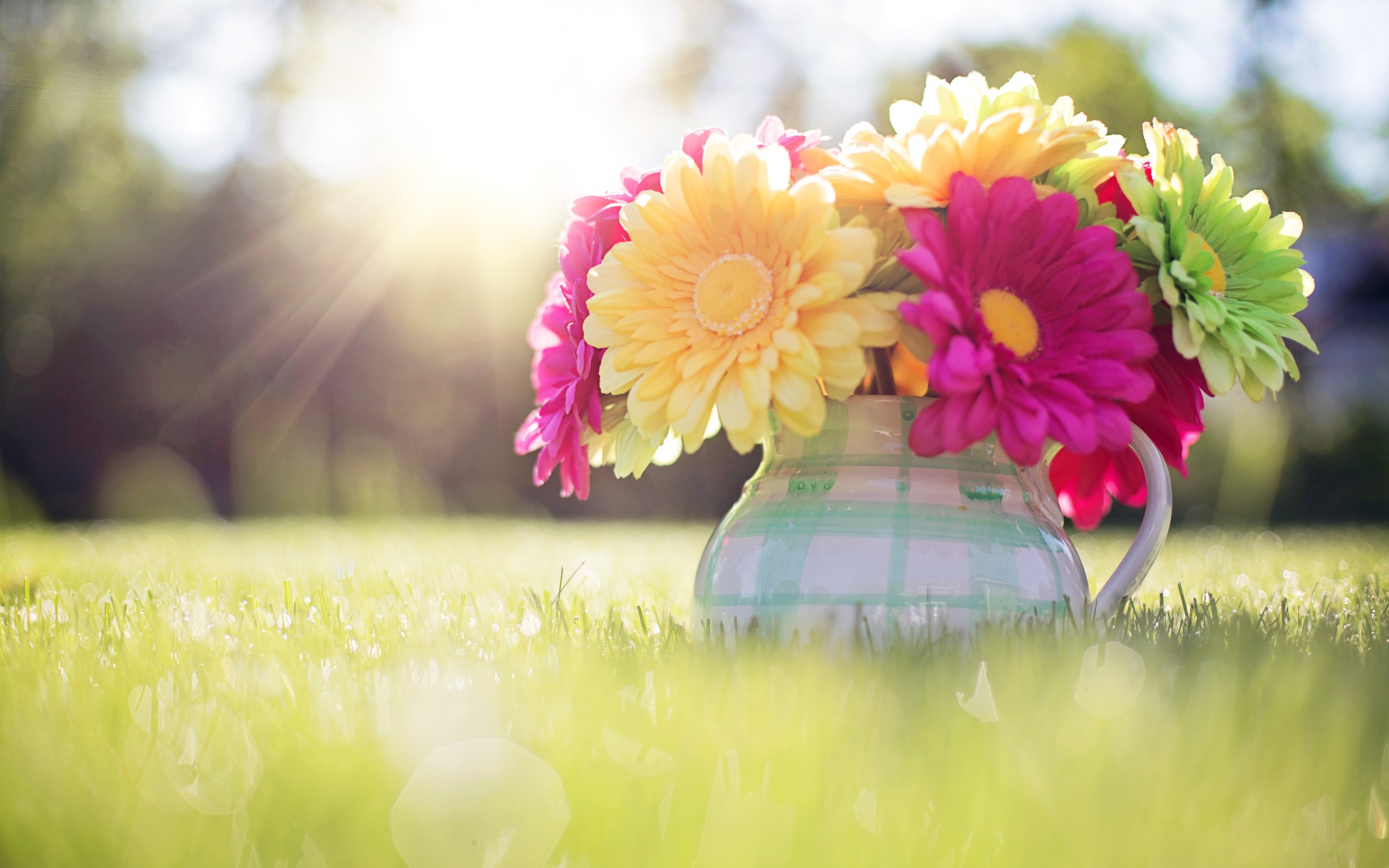 Wallpaper Spring Pictures Wallpapers