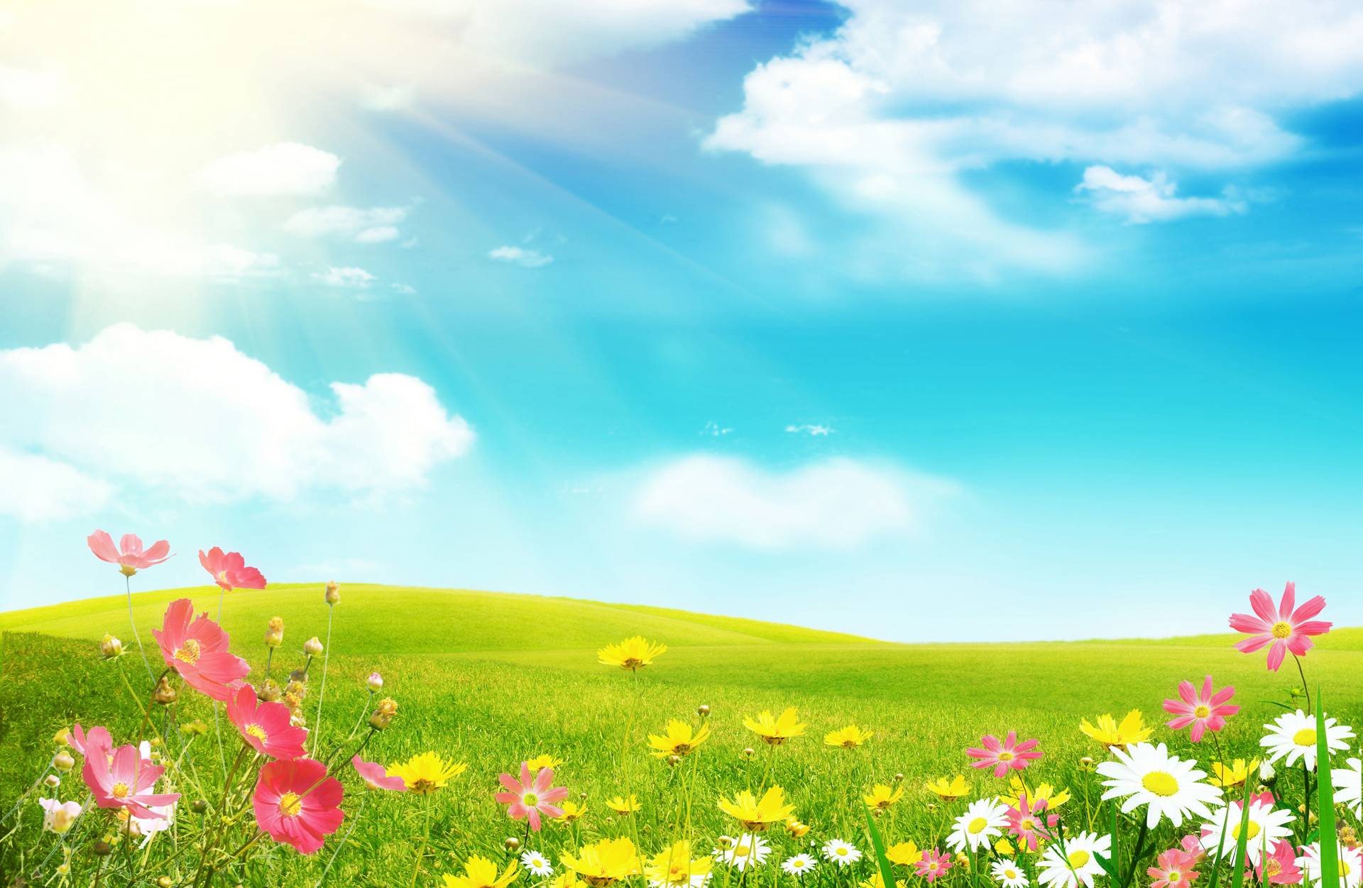 Wallpaper Spring Pictures Wallpapers