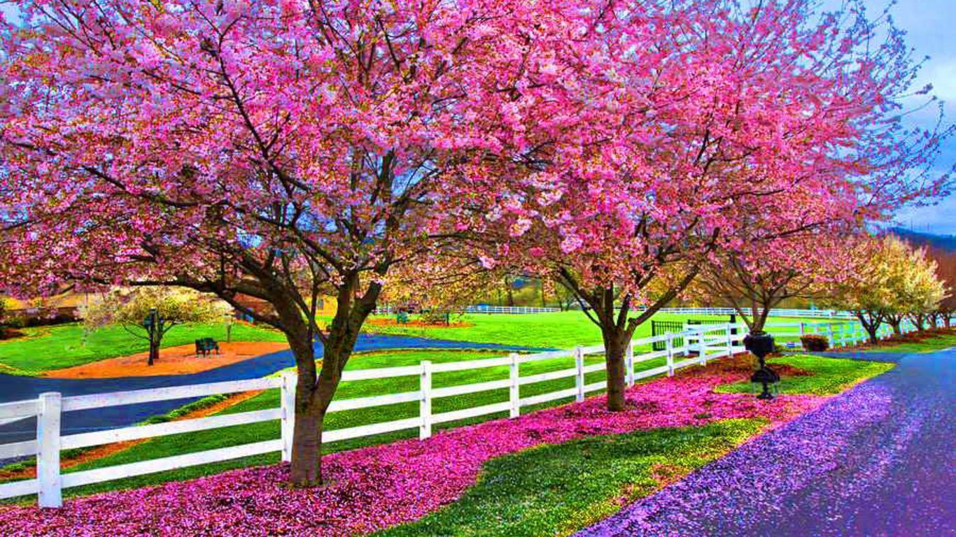 Wallpaper Spring Pictures Wallpapers