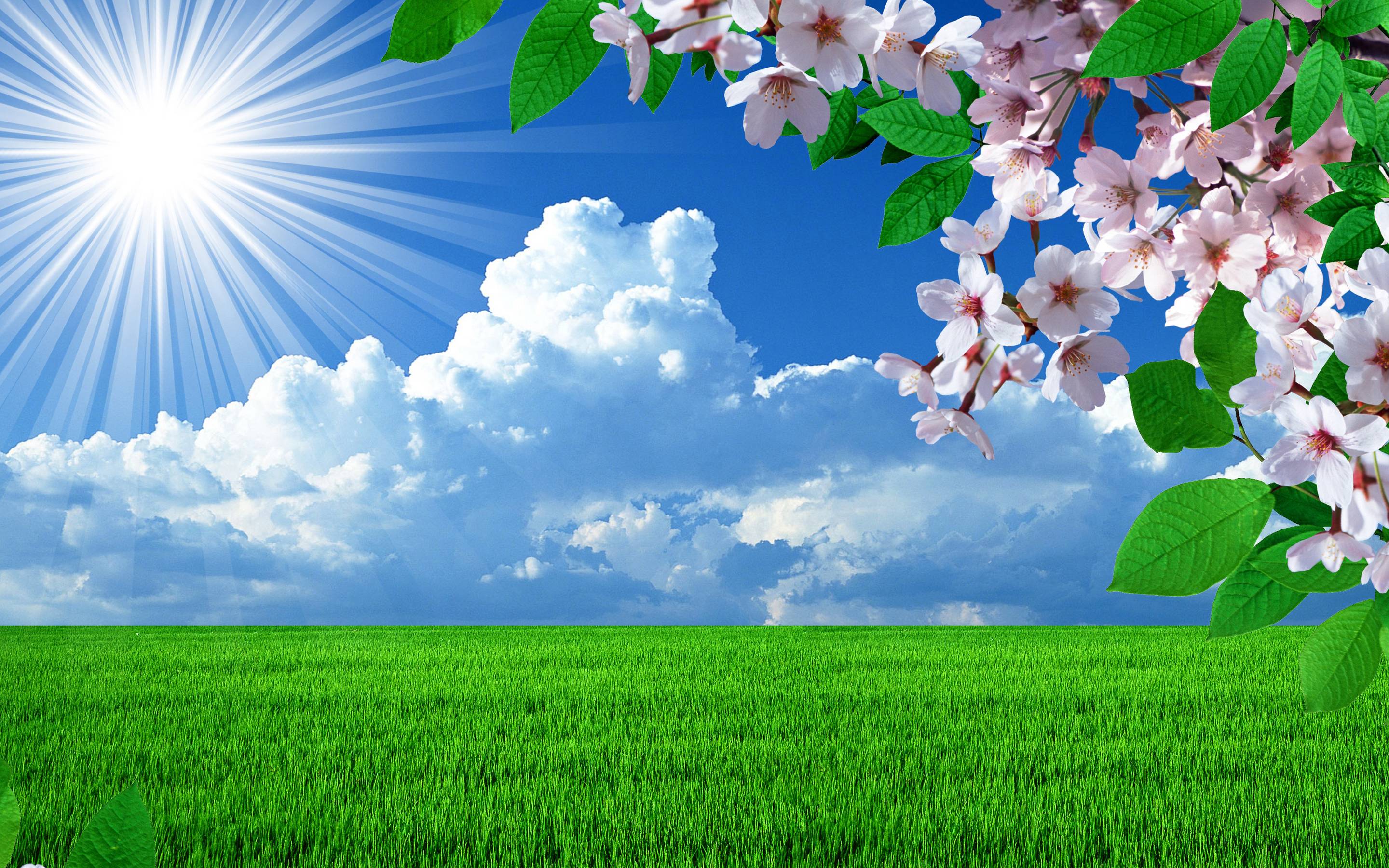 Wallpaper Spring Pictures Wallpapers