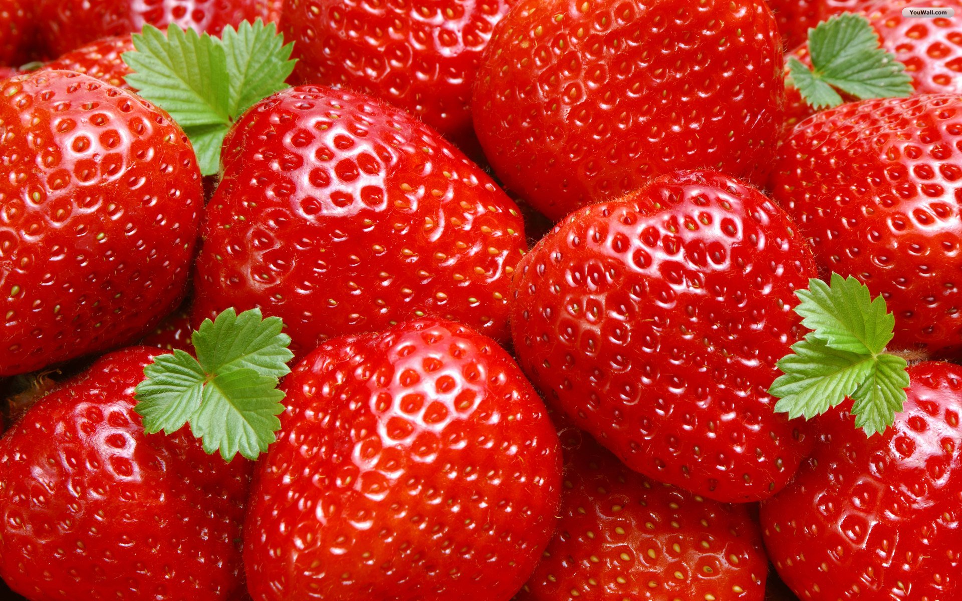 Wallpaper Strawberry Wallpapers