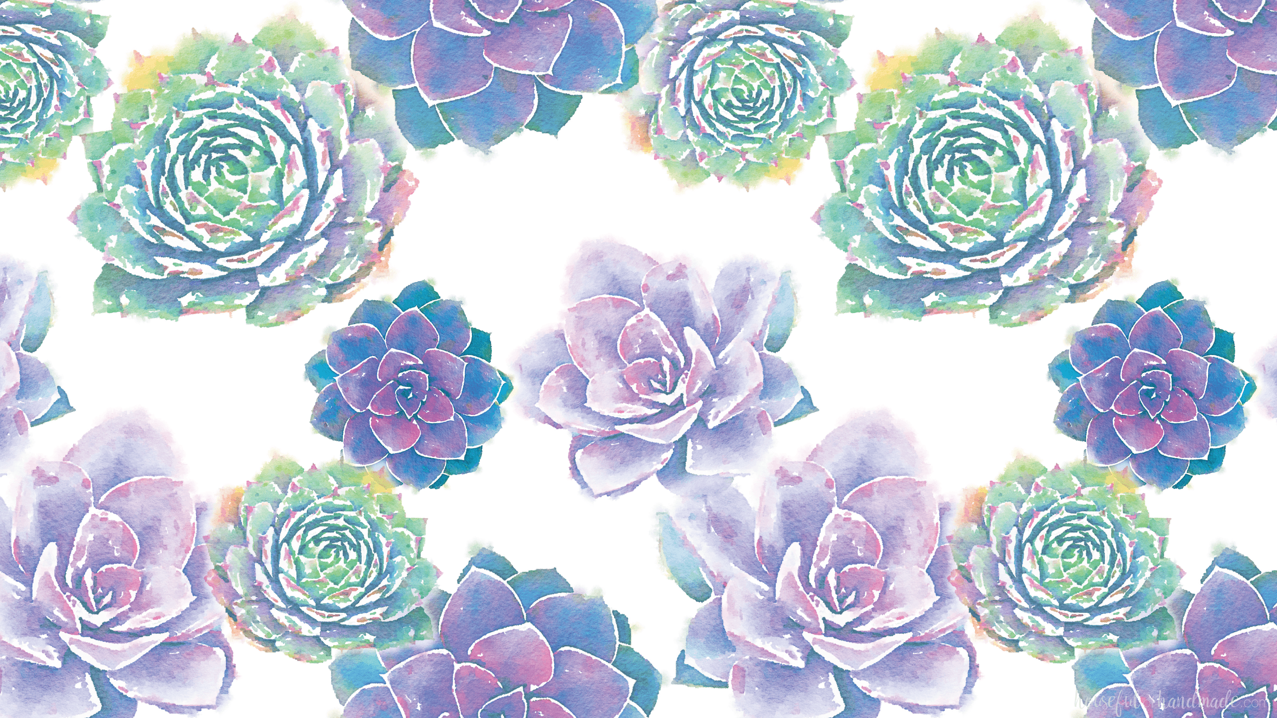 Wallpaper Succulents Wallpapers