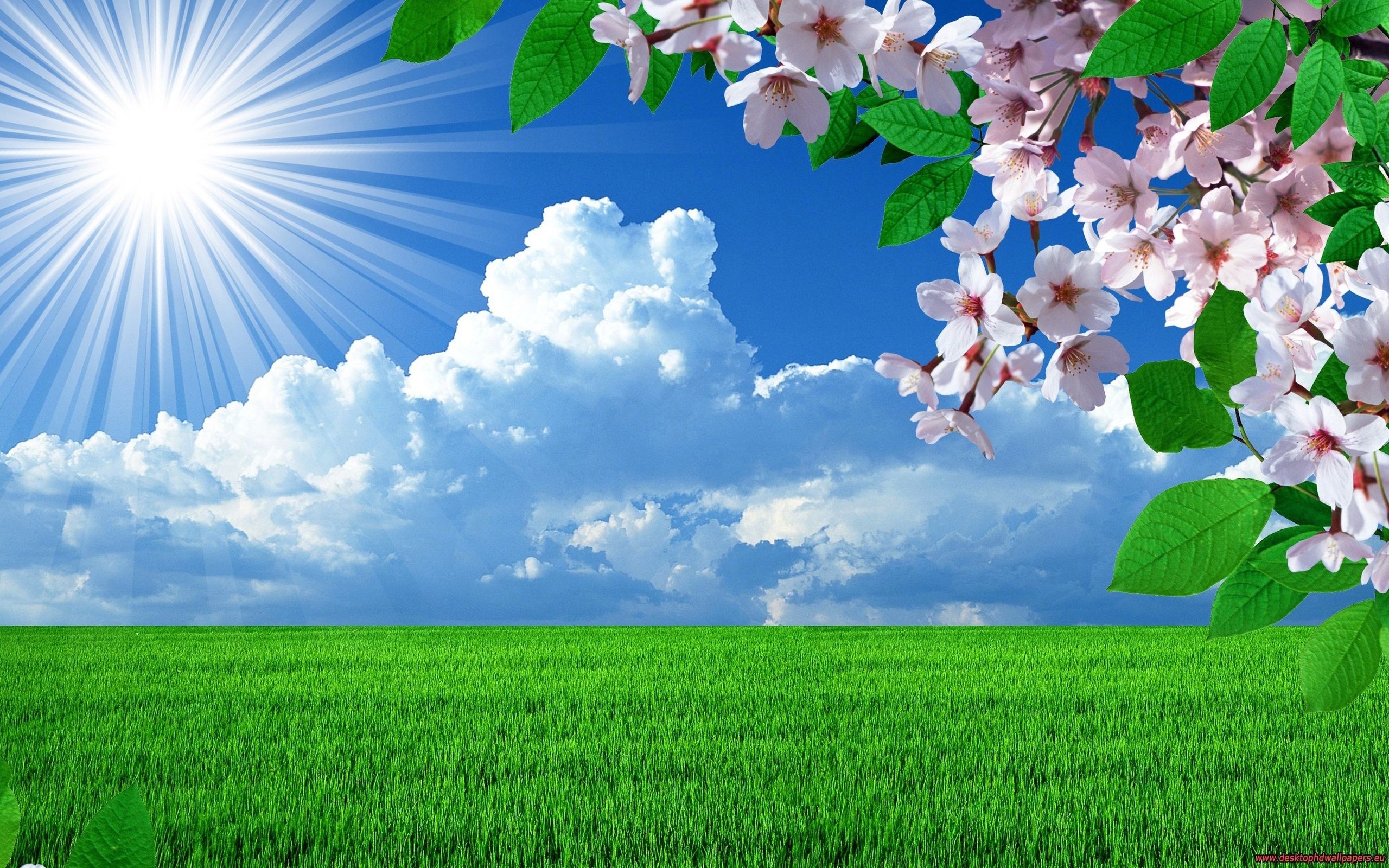 Wallpaper Sunny Day Wallpapers