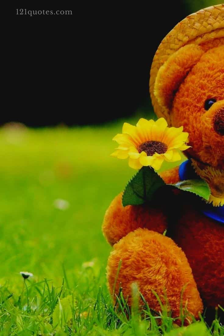 Wallpaper Teddy Bear Wallpapers