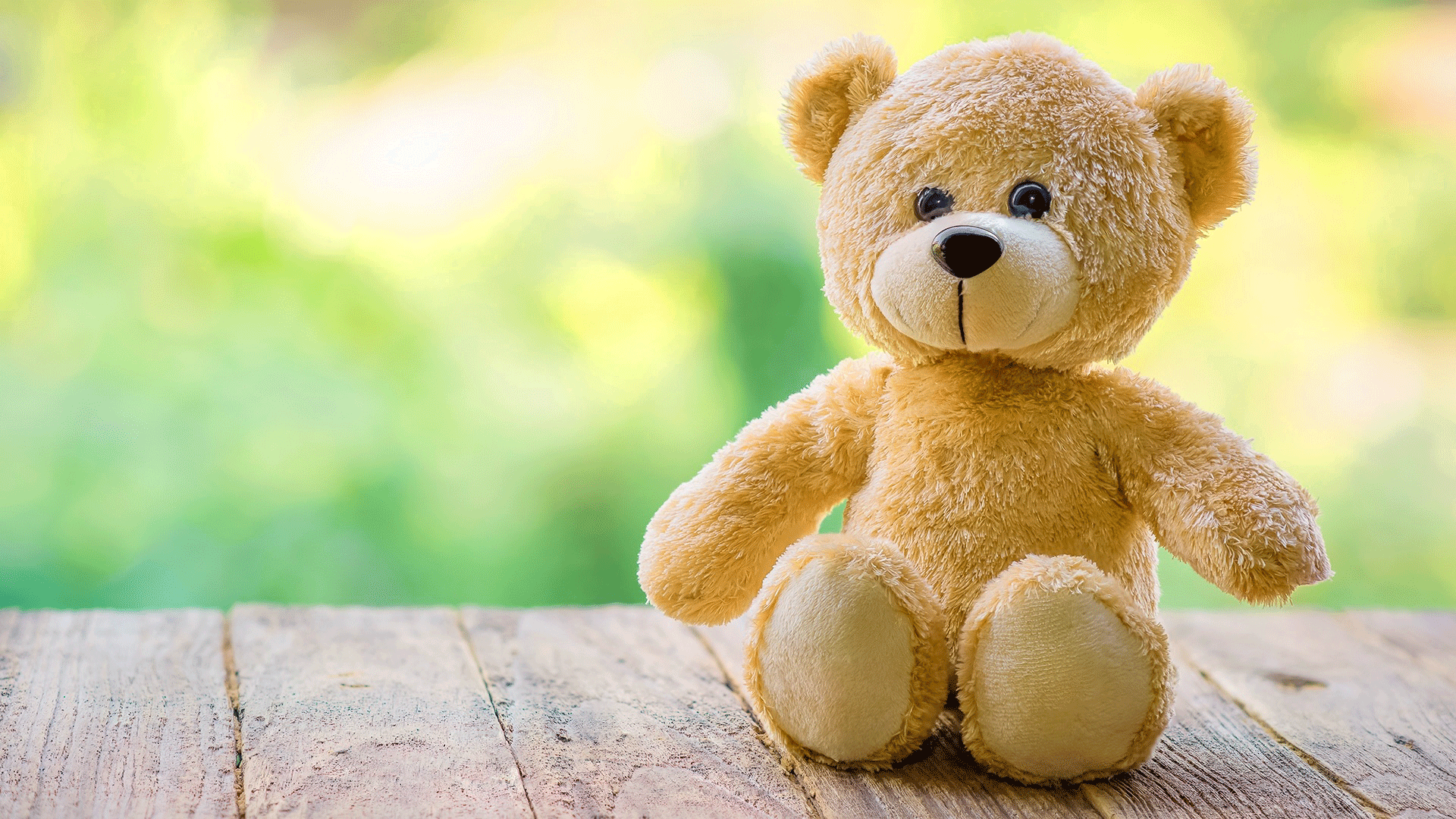 Wallpaper Teddy Bear Wallpapers