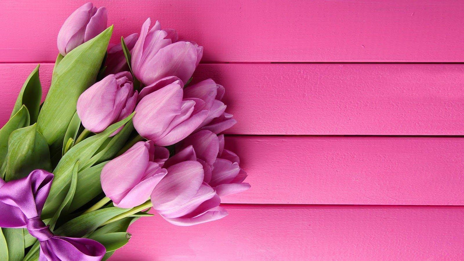 Wallpaper Tulips Wallpapers