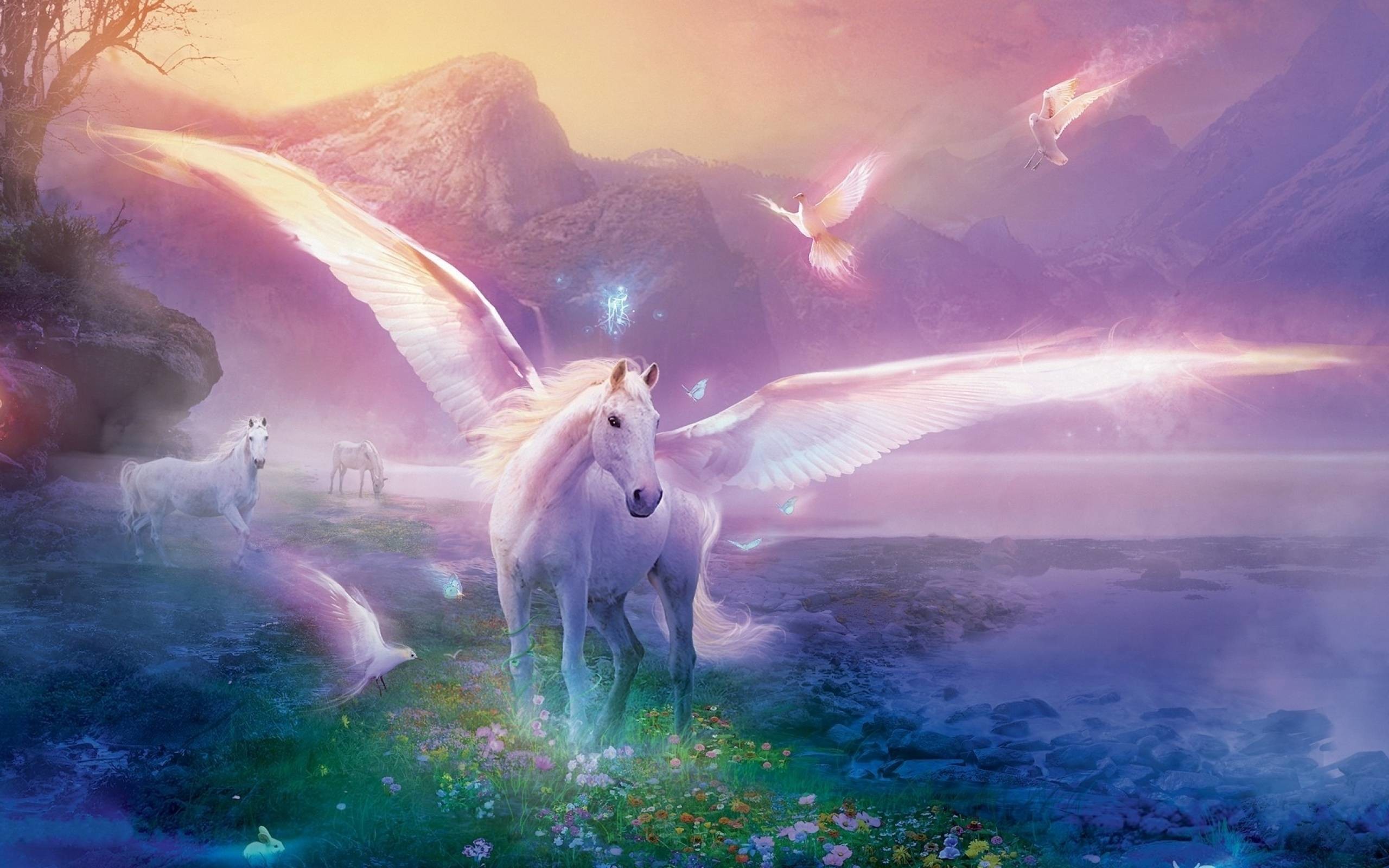 Wallpaper Unicorn Pictures Wallpapers