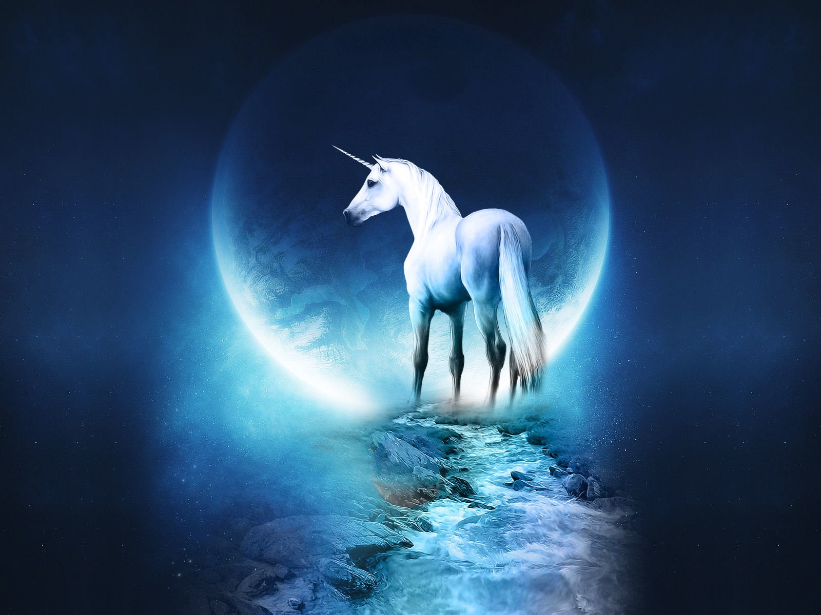 Wallpaper Unicorn Pictures Wallpapers