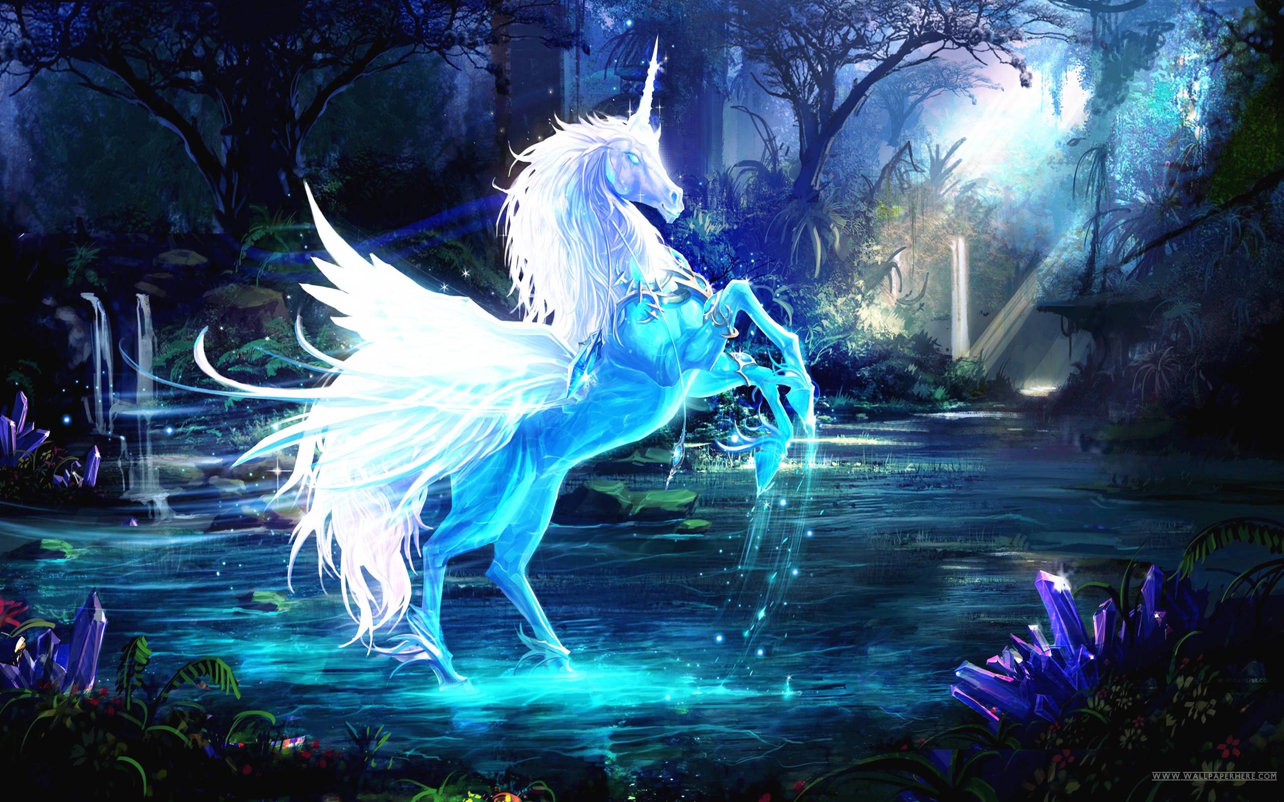 Wallpaper Unicorn Pictures Wallpapers