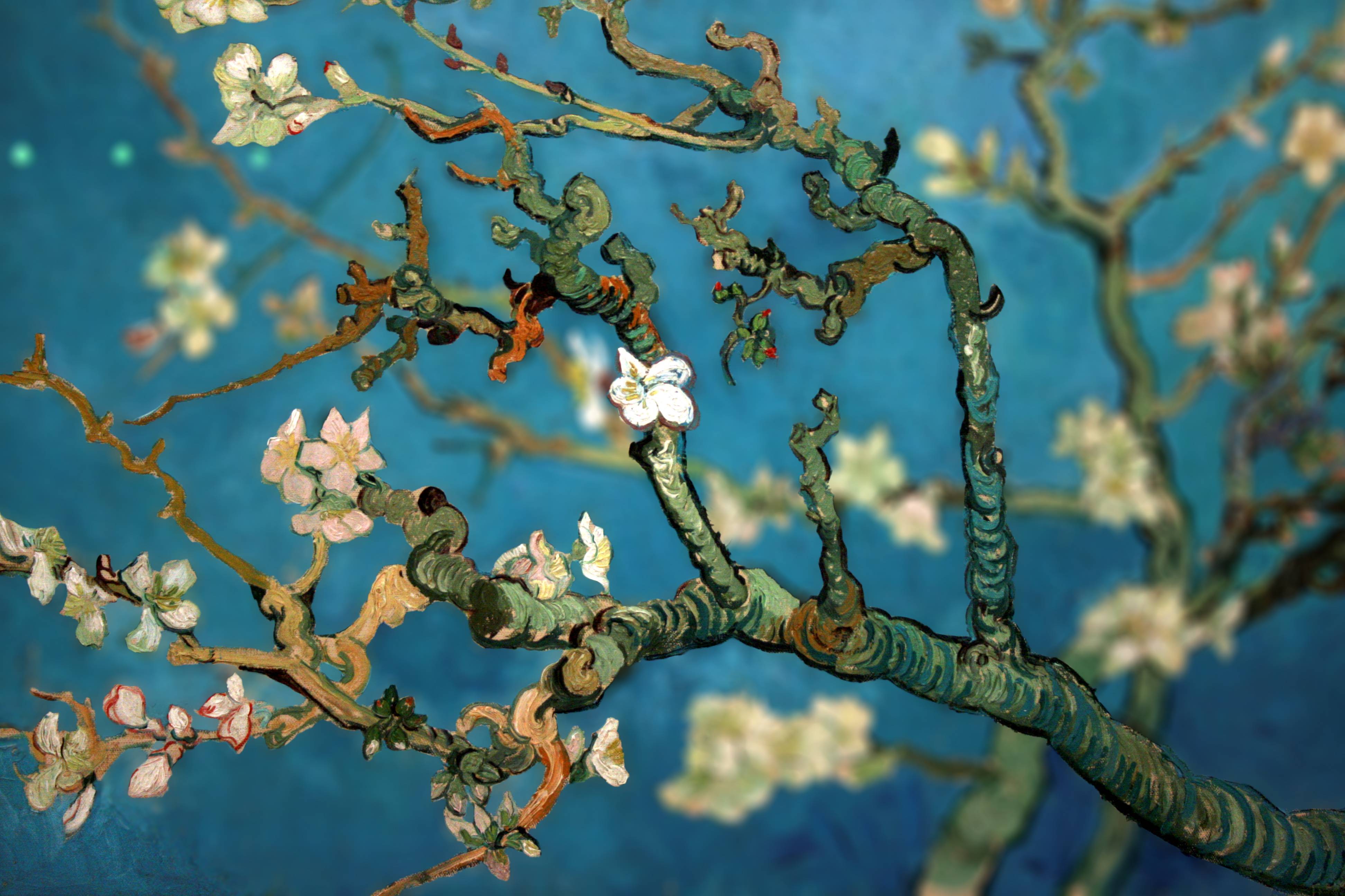 Wallpaper Van Gogh Almond Blossom Wallpapers