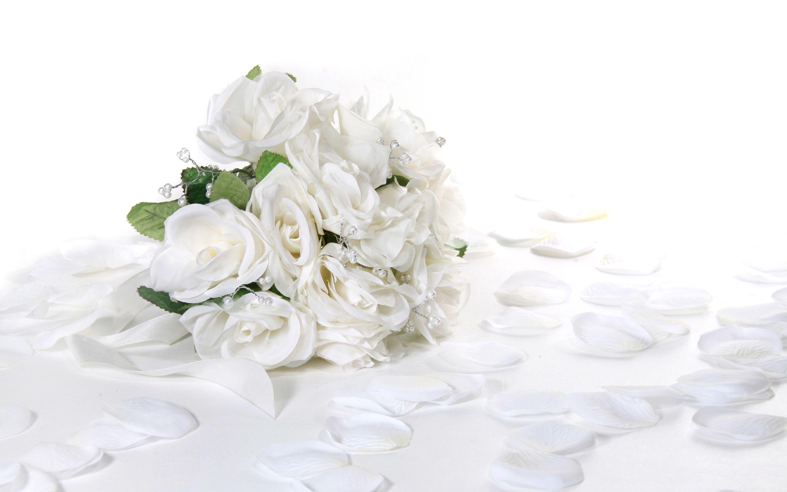 Wallpaper White Roses Wallpapers