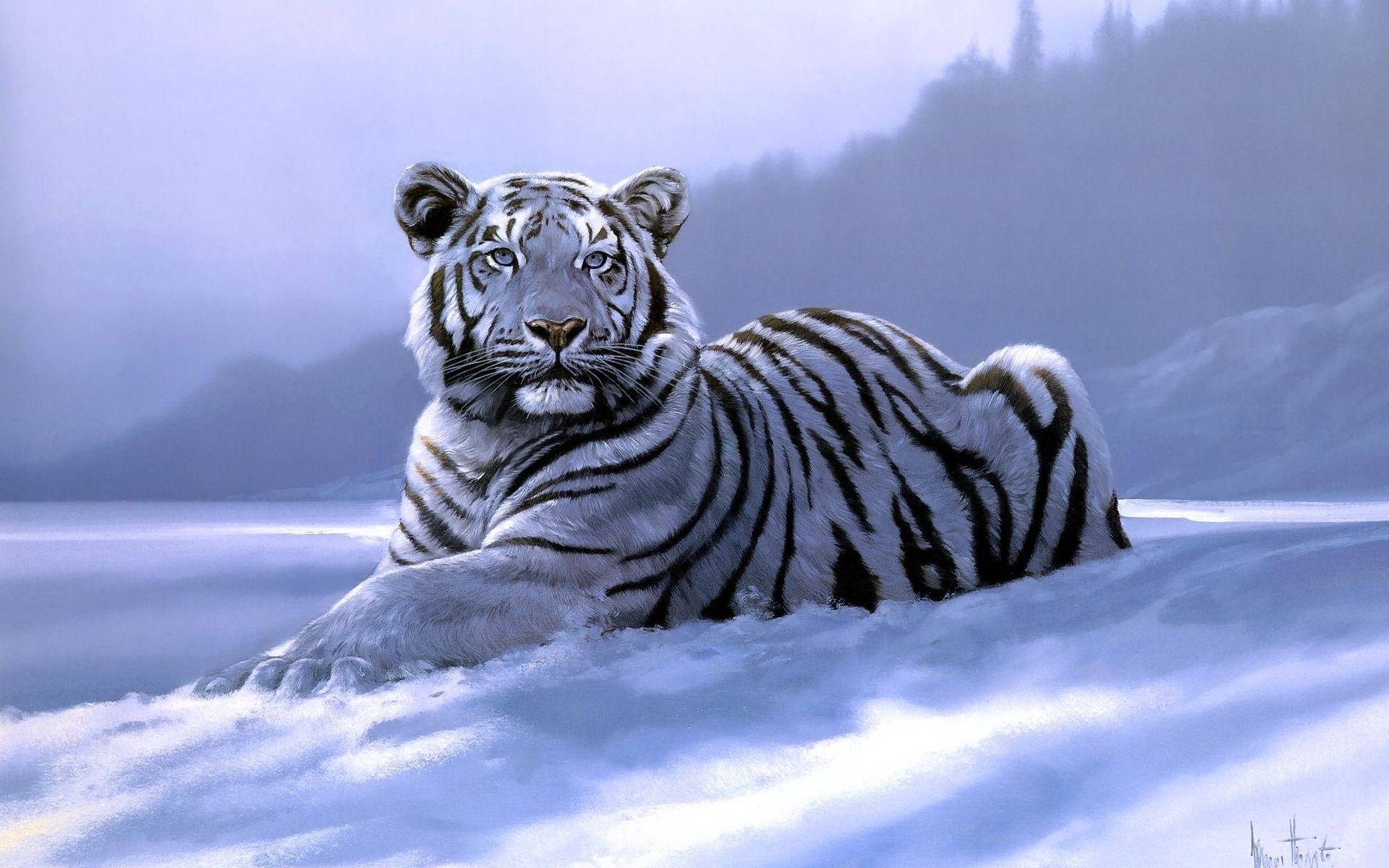 Wallpaper White Tiger Wallpapers