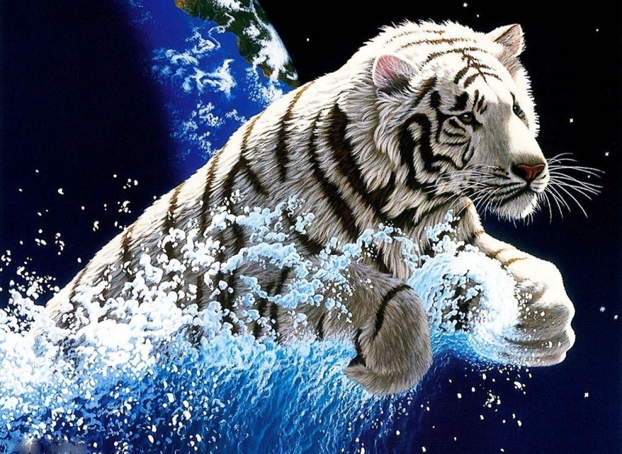 Wallpaper White Tiger Wallpapers