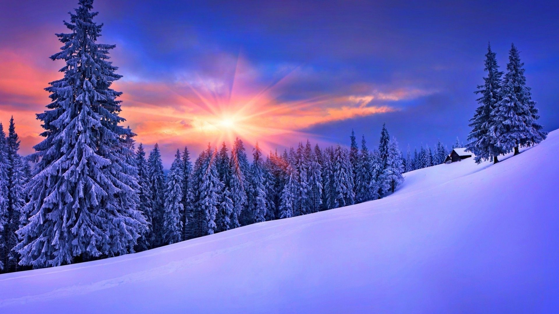 Wallpaper Winter Landscape Wallpapers