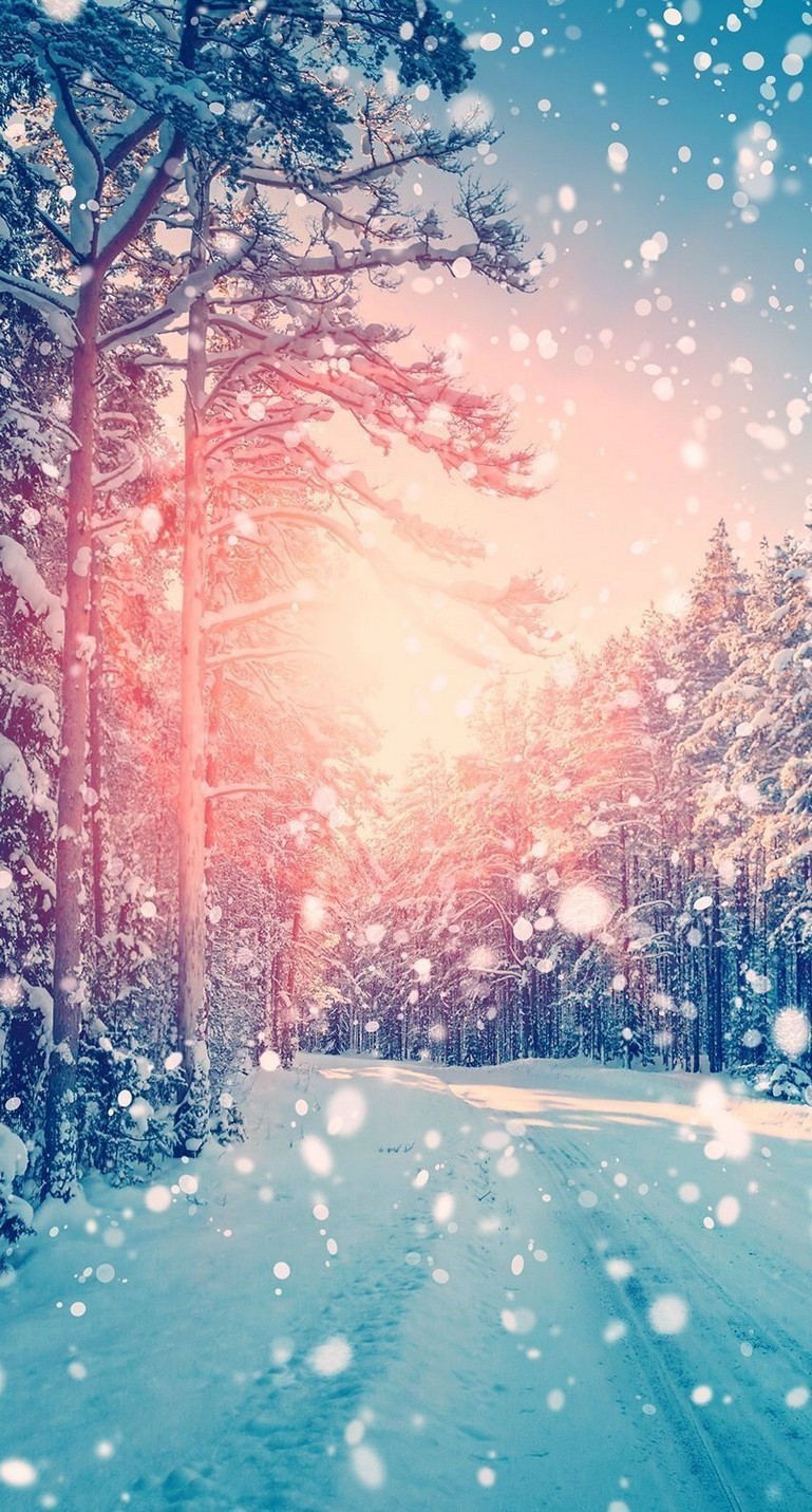 Wallpaper Winter Season Wallpapers