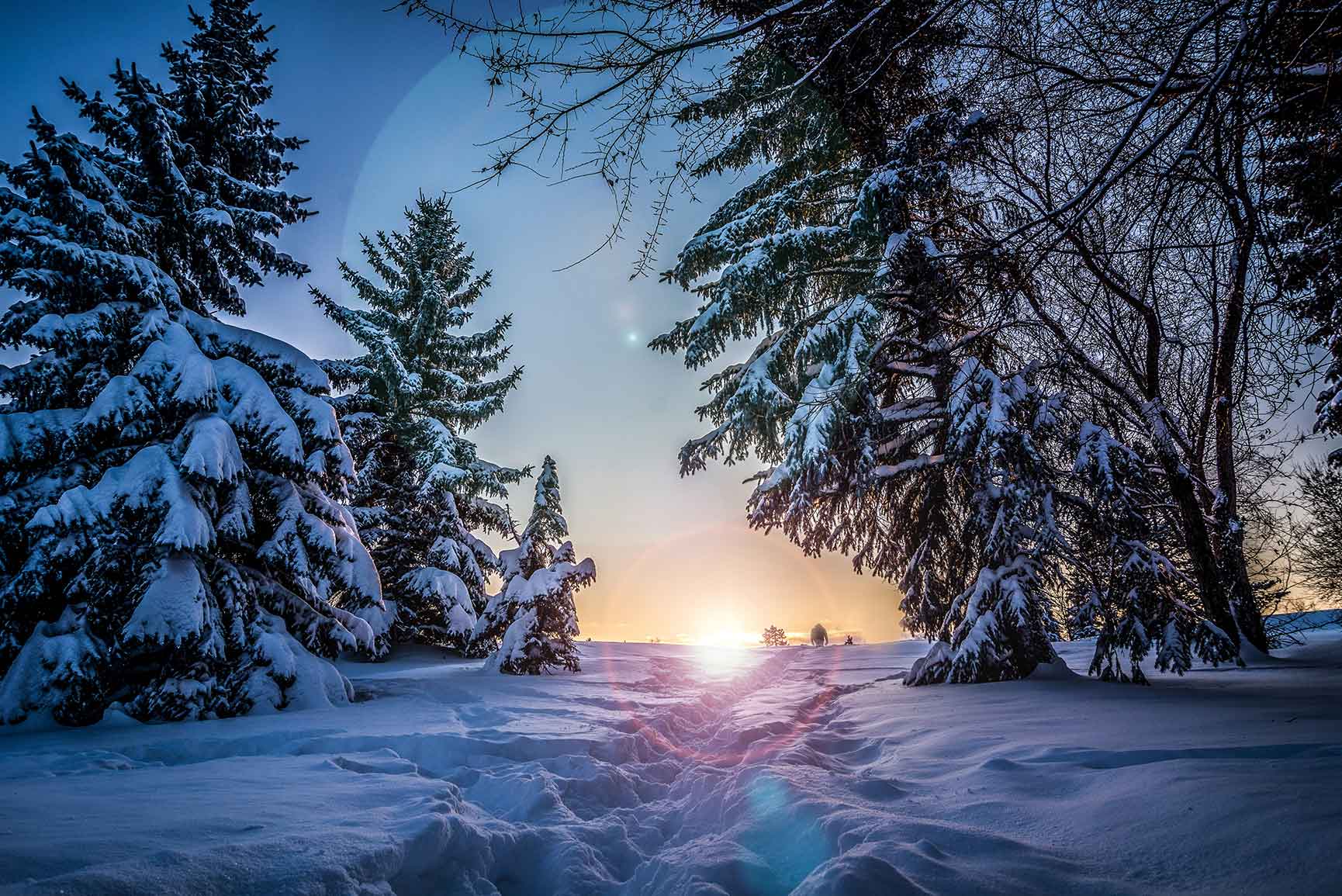 Wallpaper Winter Season Wallpapers