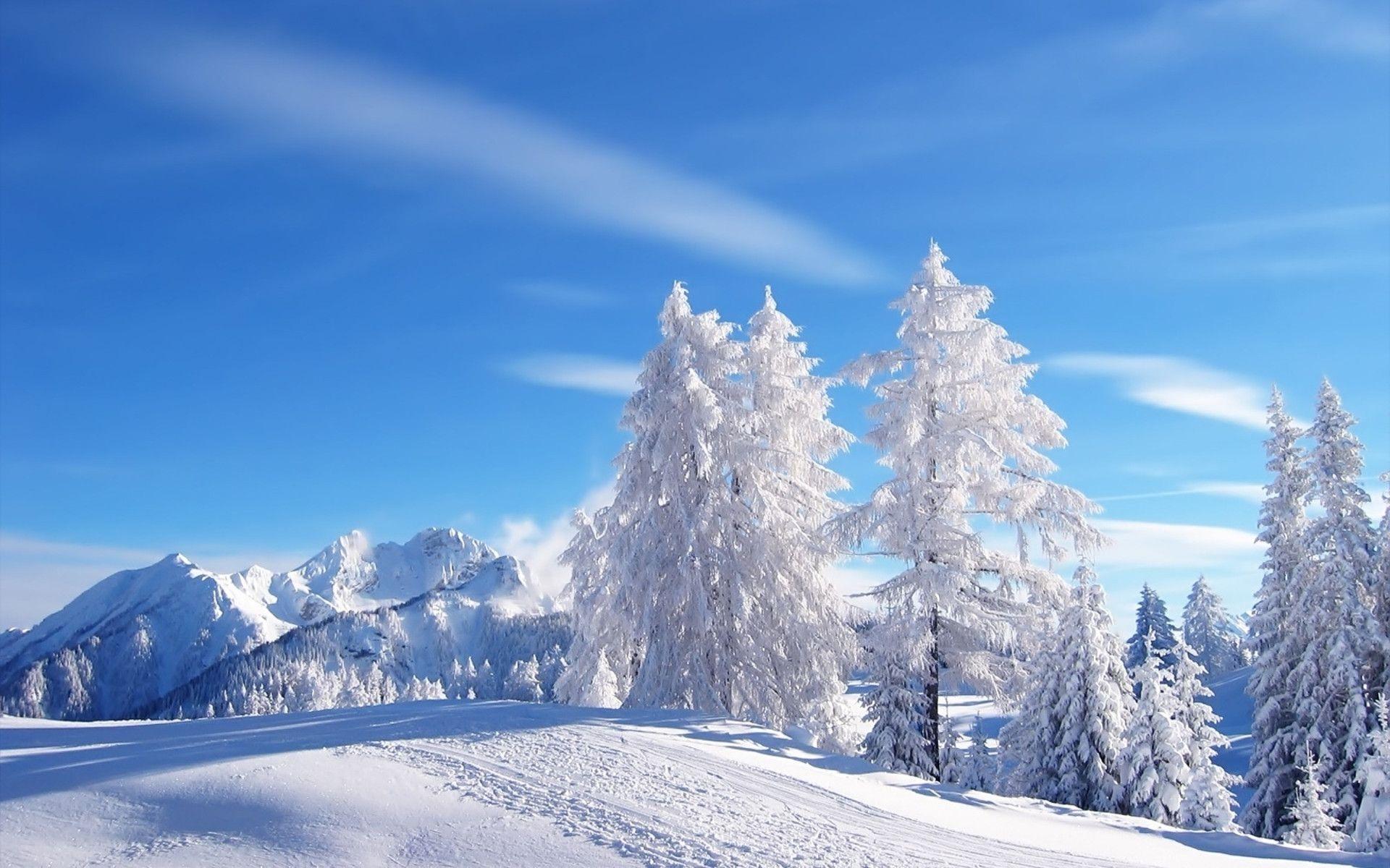 Wallpaper Winter Wonderland Wallpapers