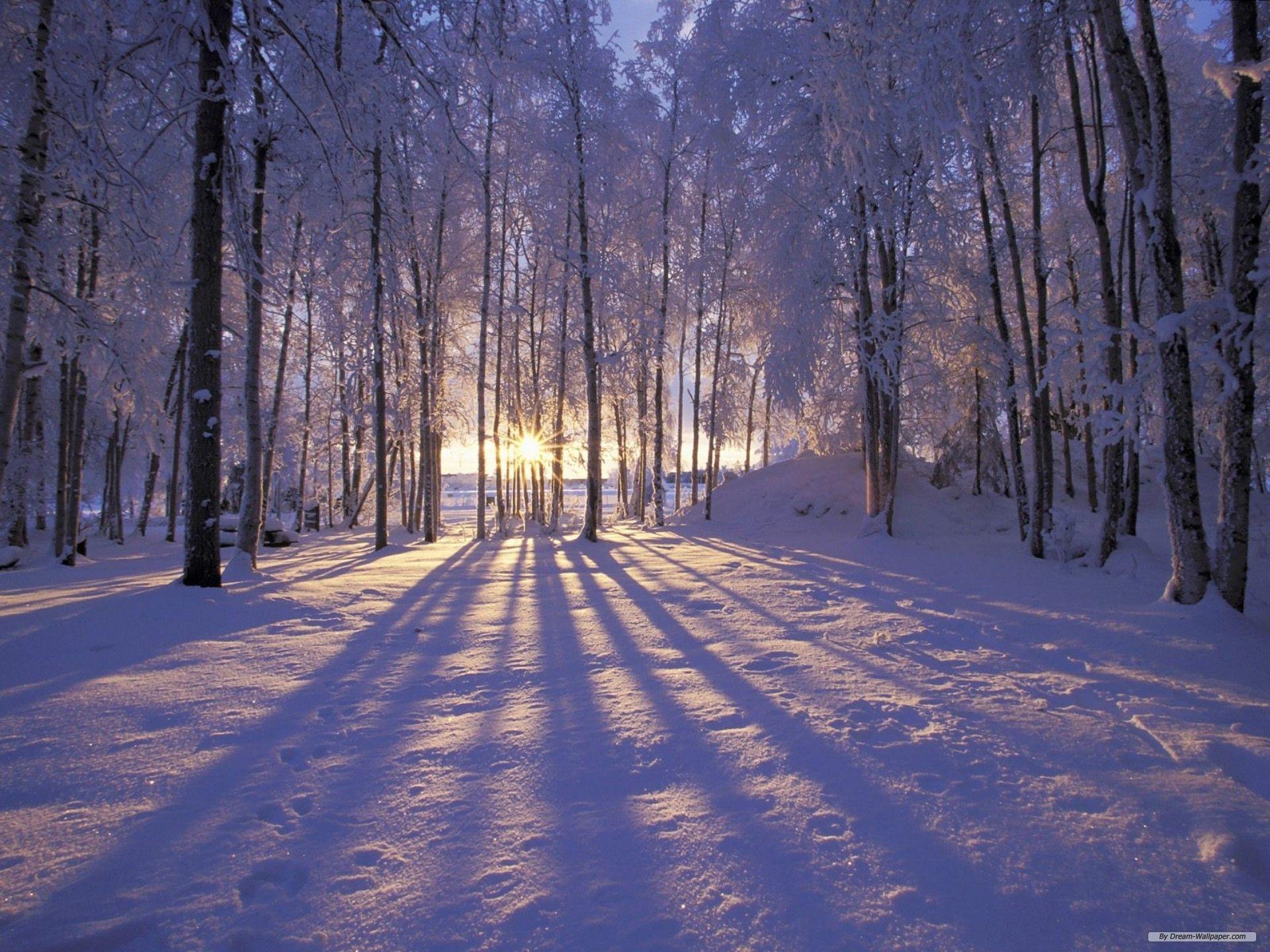 Wallpaper Winter Wonderland Wallpapers