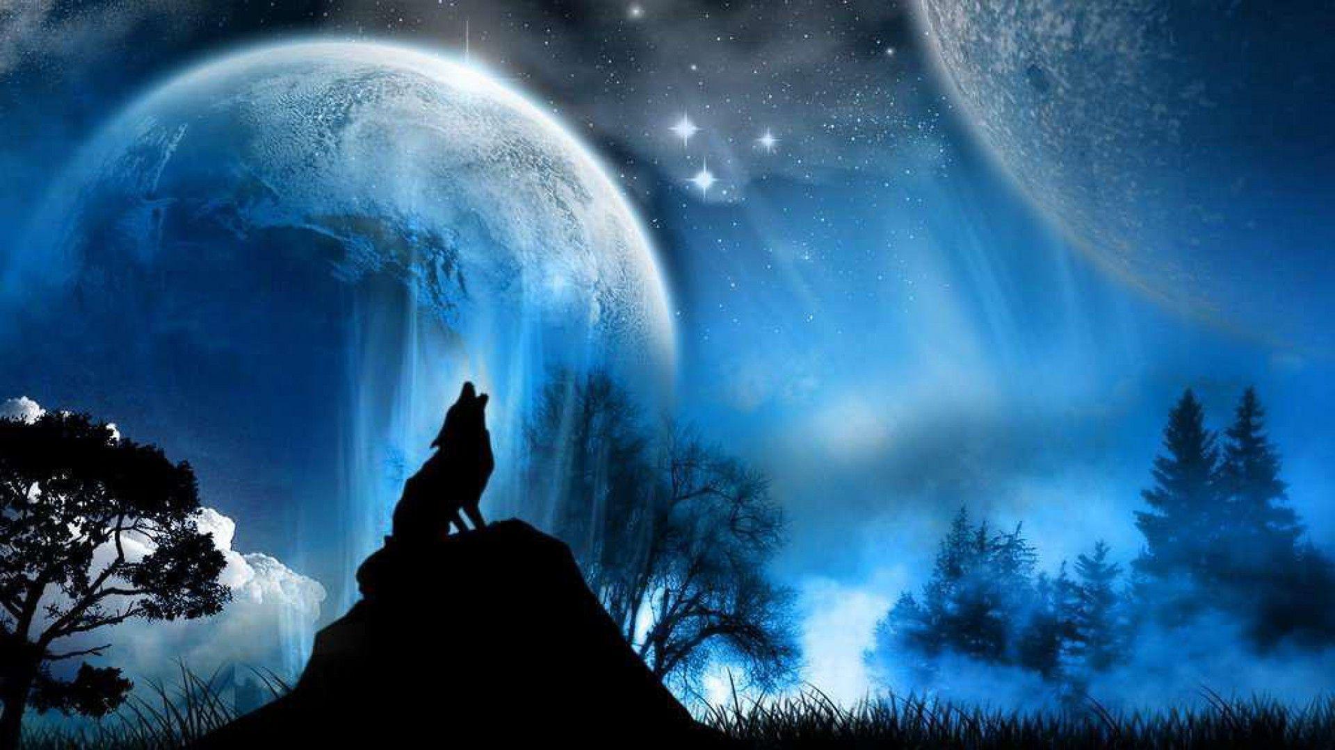 Wallpaper Wolfs Wallpapers