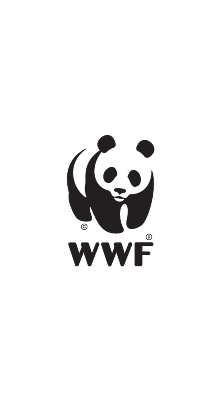 Wallpapers Of Wwf Wallpapers