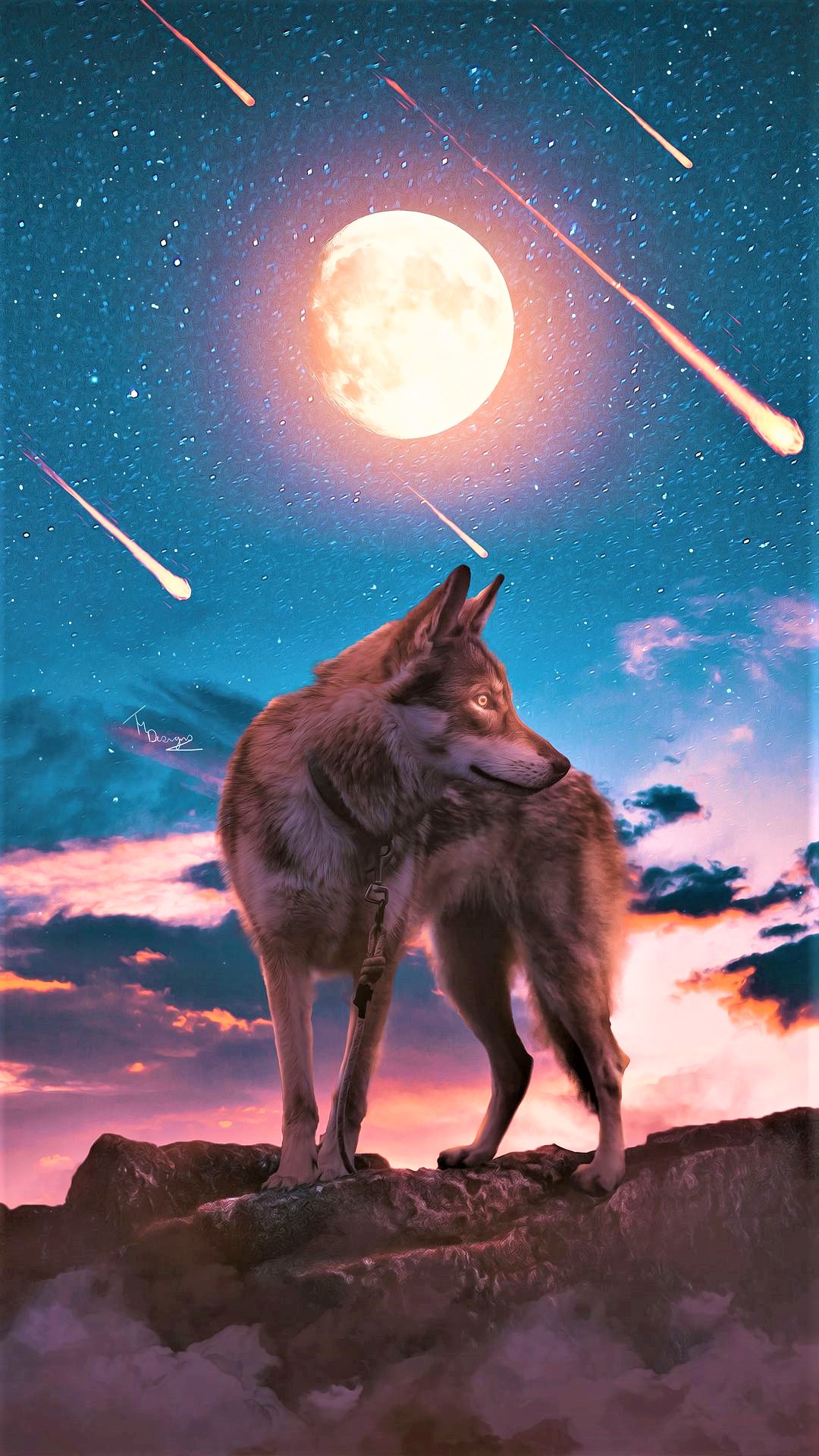 Wallpapers Wolf Wallpapers