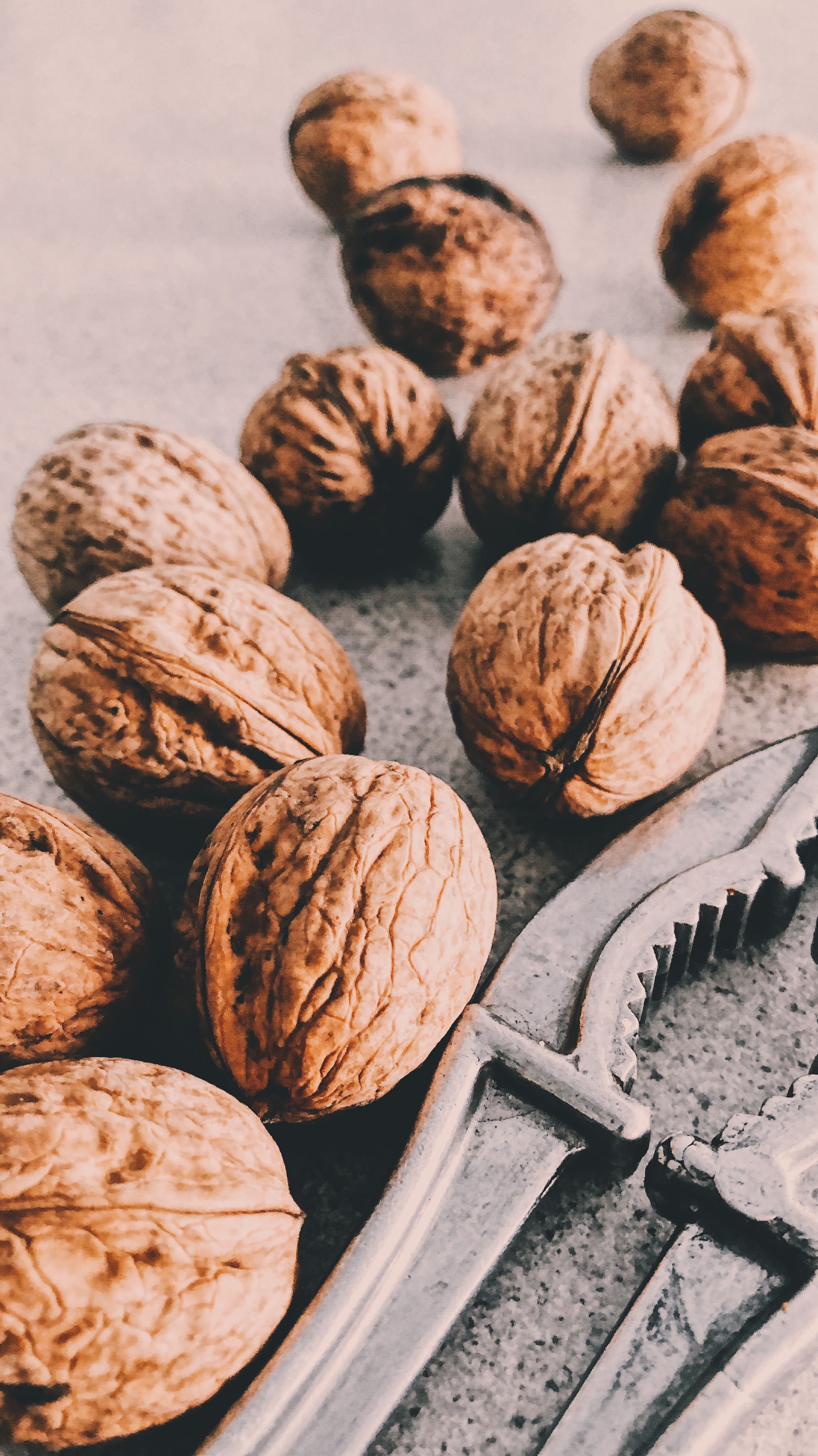 Walnut Wallpapers