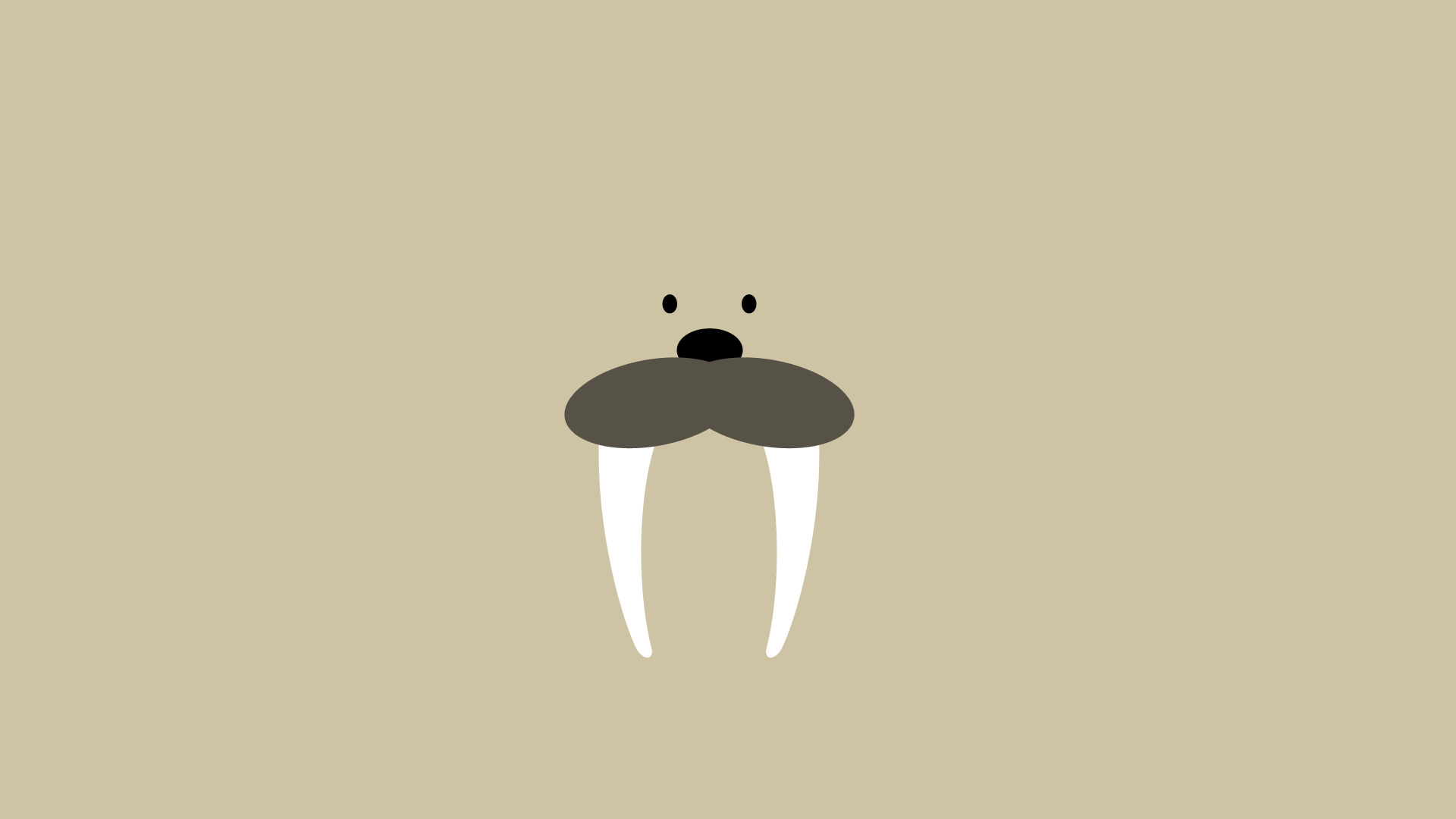 Walrus Wallpapers