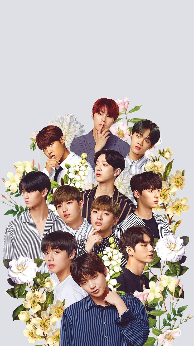 Wanna One Desktop Wallpapers