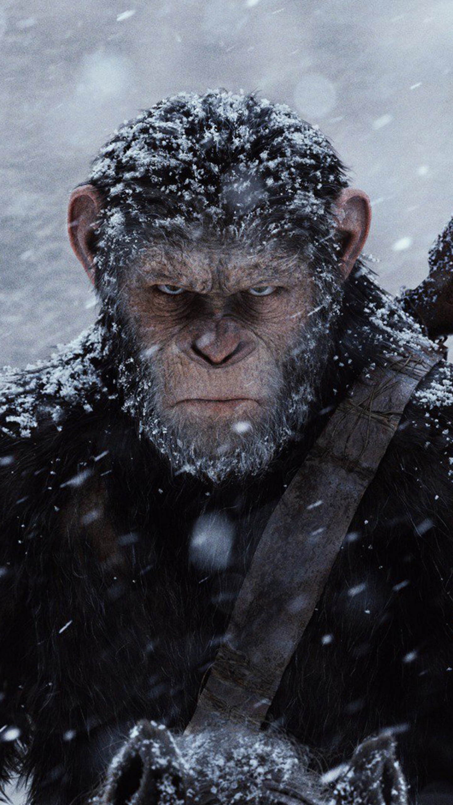 War For The Planet Of The Apes Movie Still Wallpapers