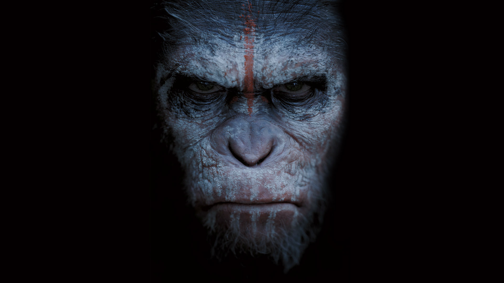 War For The Planet Of The Apes Movie Still Wallpapers