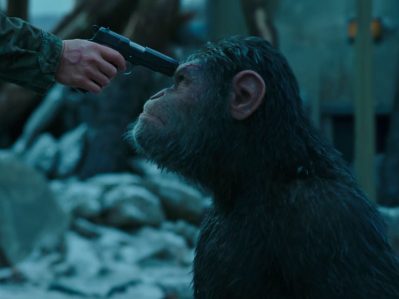 War For The Planet Of The Apes Movie Still Wallpapers