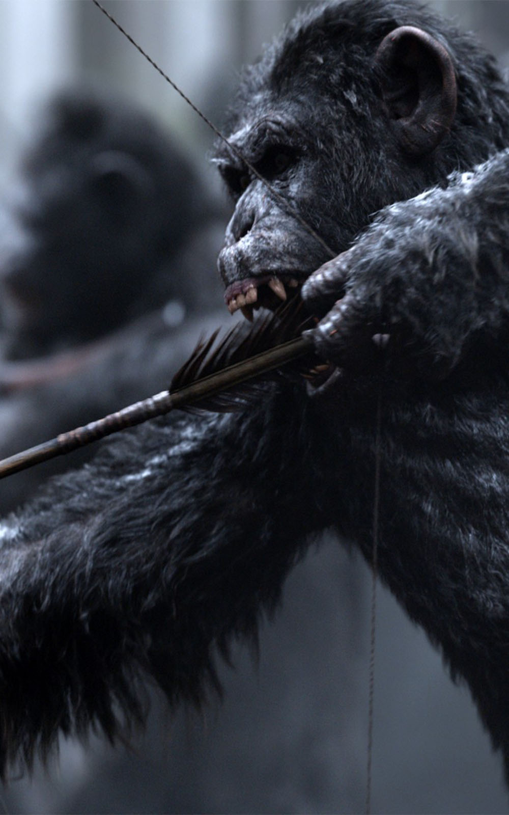 War For The Planet Of The Apes Movie Still Wallpapers