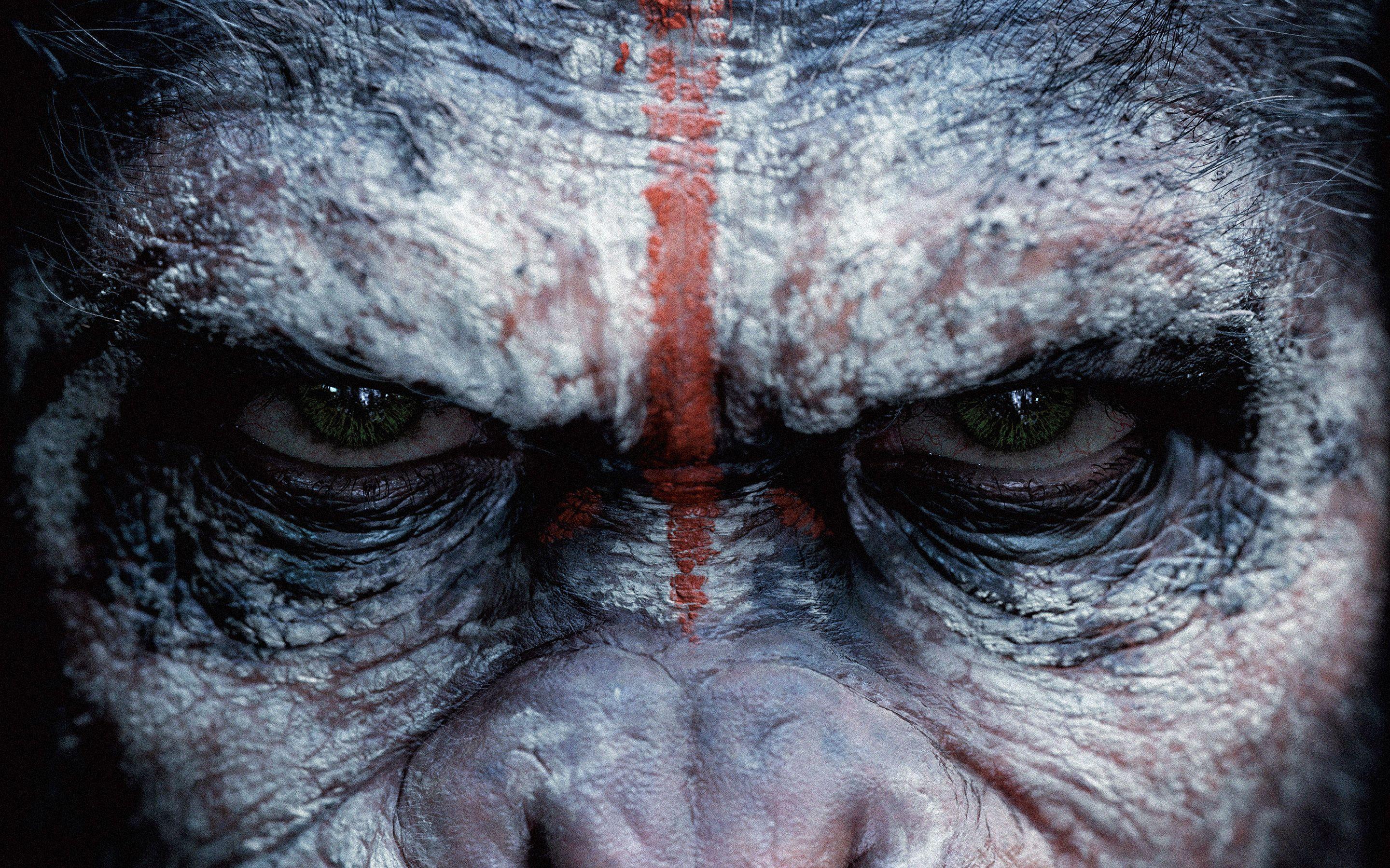 War For The Planet Of The Apes Movie Still Wallpapers