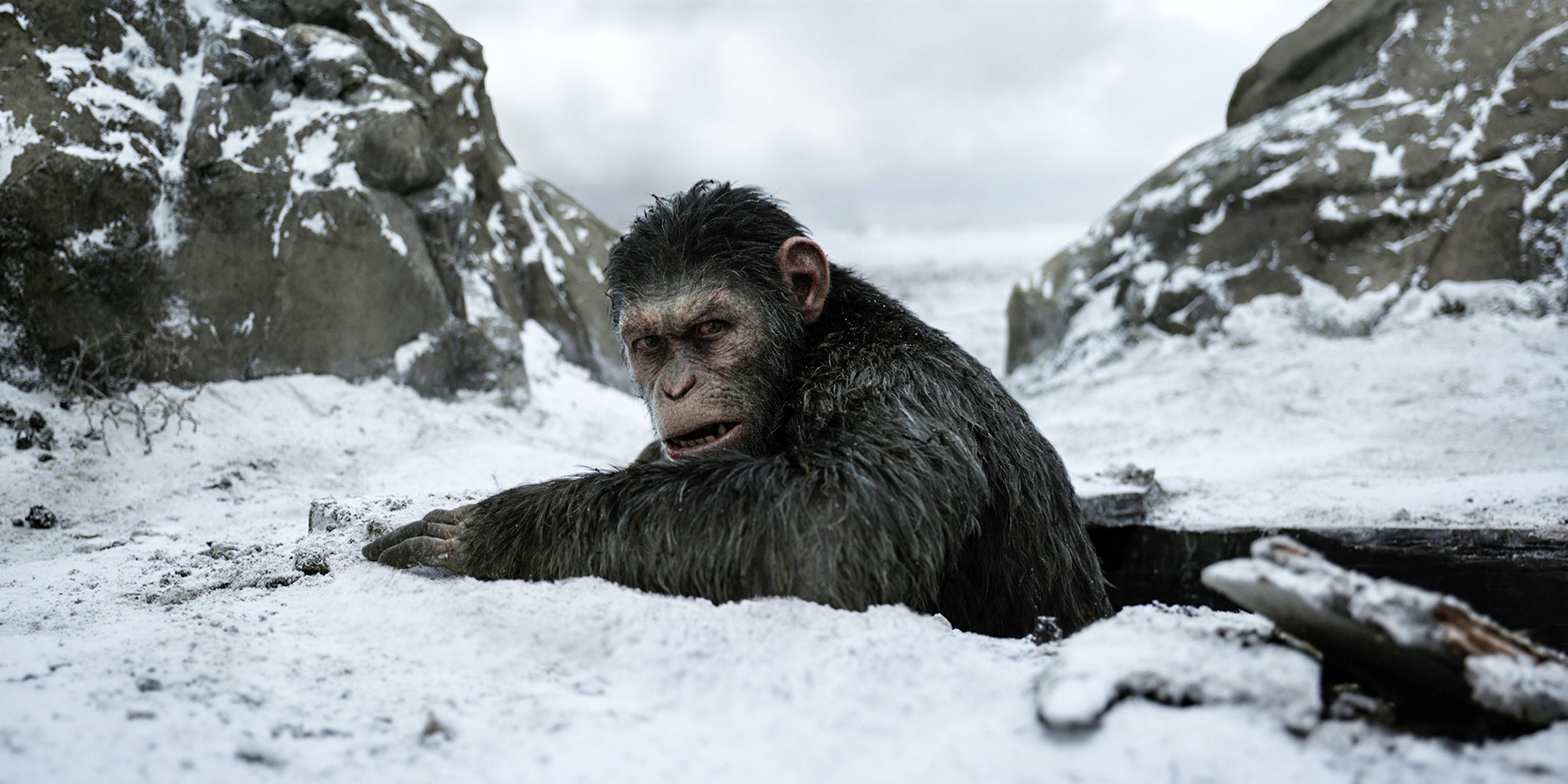 War For The Planet Of The Apes Movie Still Wallpapers