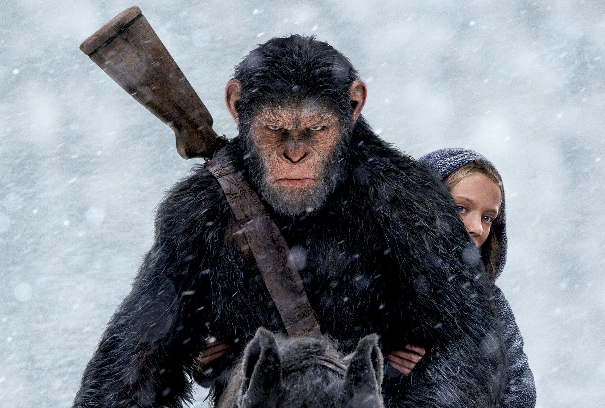 War For The Planet Of The Apes Movie Still Wallpapers