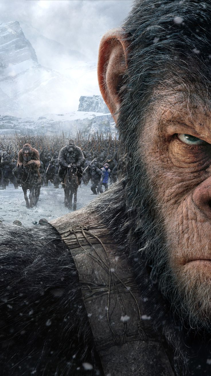 War For The Planet Of The Apes Movie Still Wallpapers