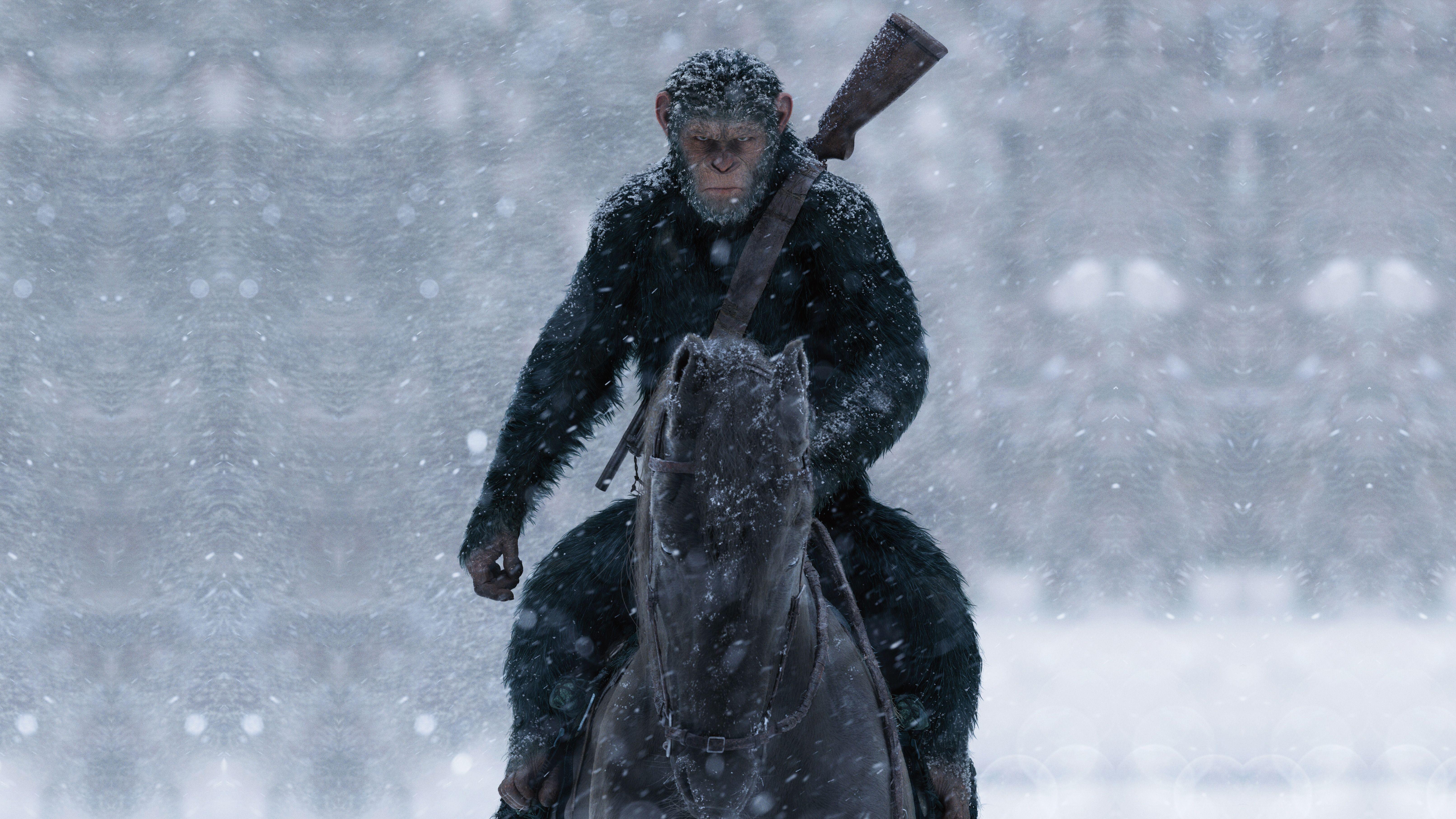 War For The Planet Of The Apes Movie Still Wallpapers