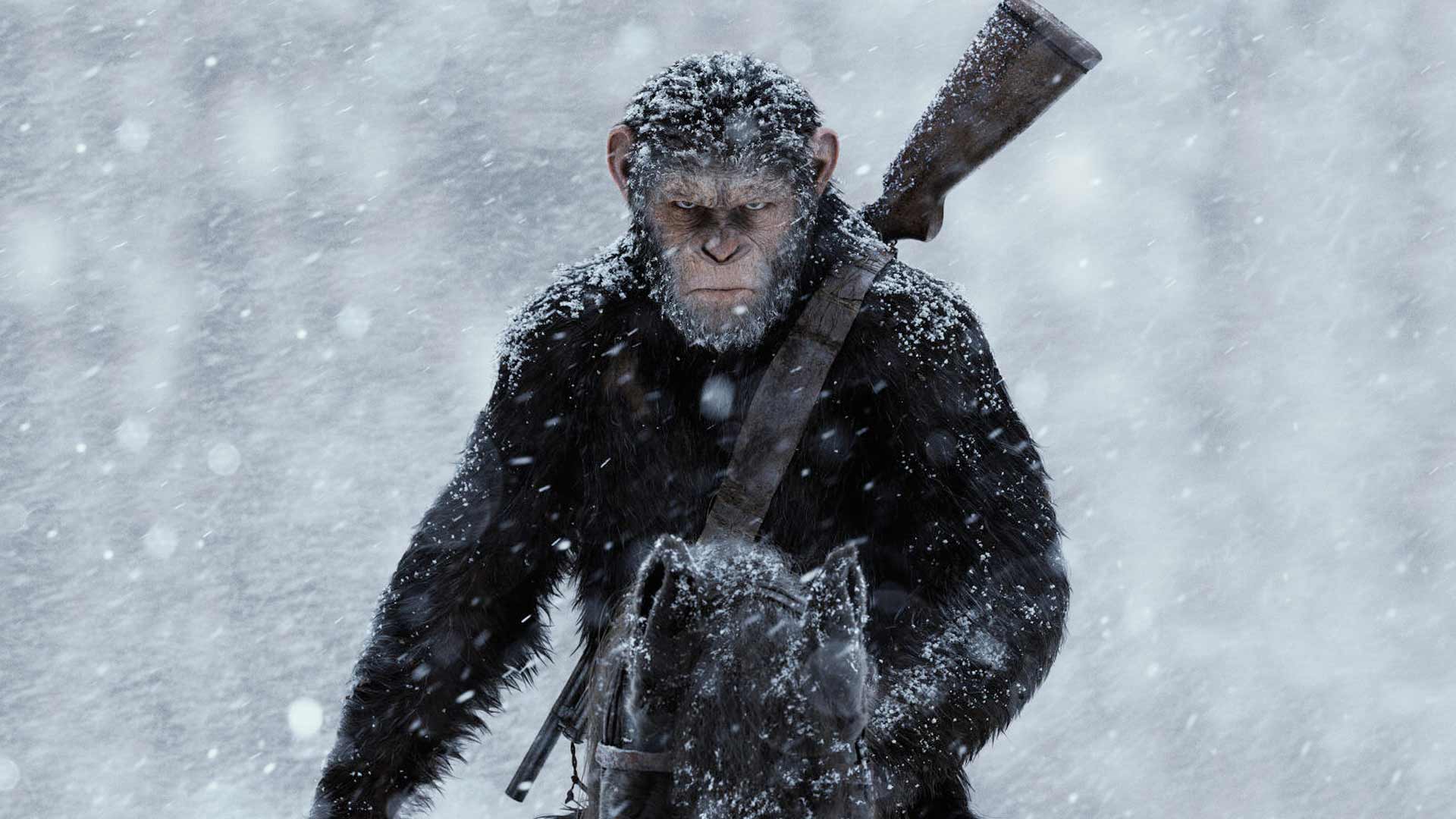 War For The Planet Of The Apes Movie Still Wallpapers