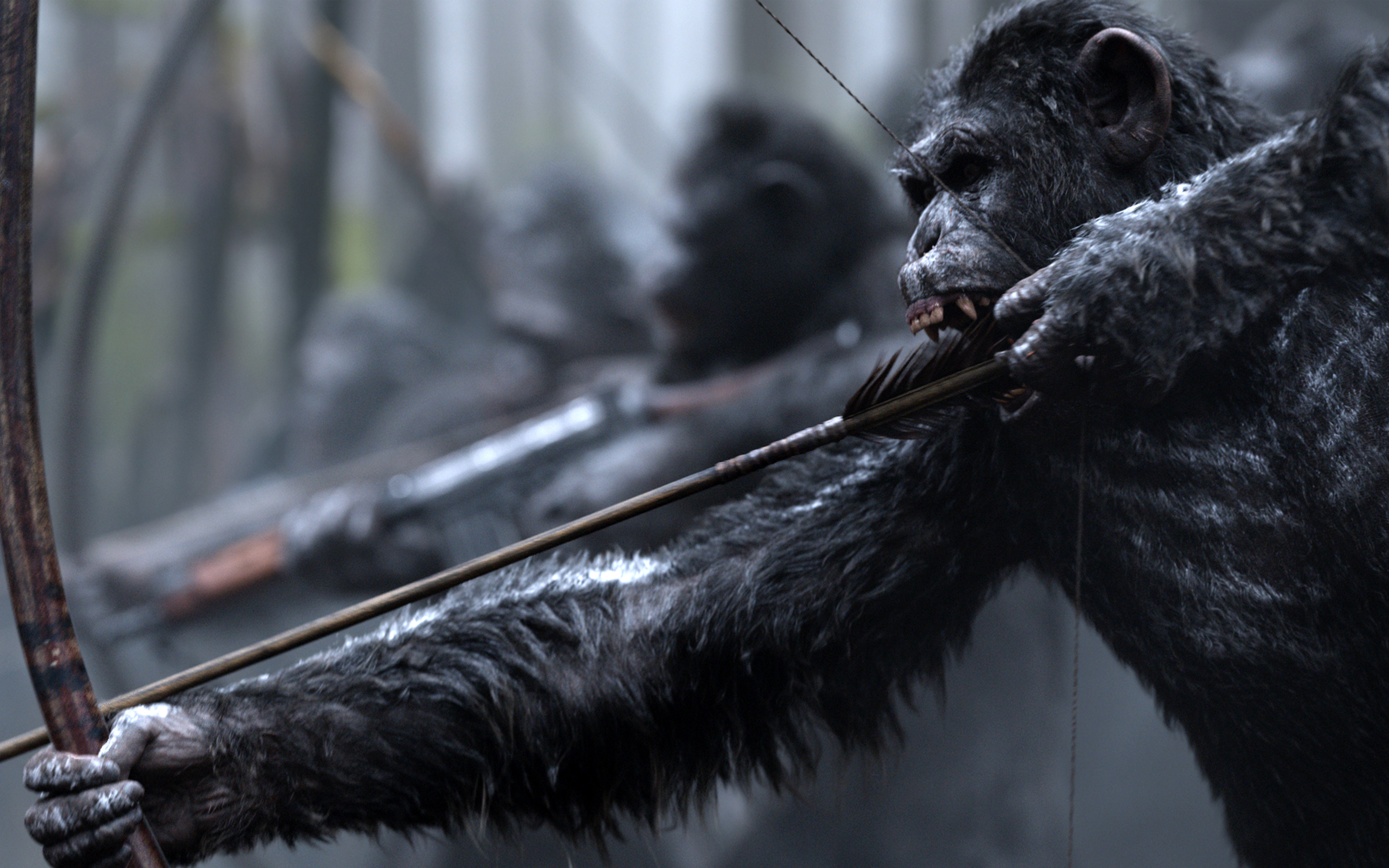 War For The Planet Of The Apes Movie Still Wallpapers