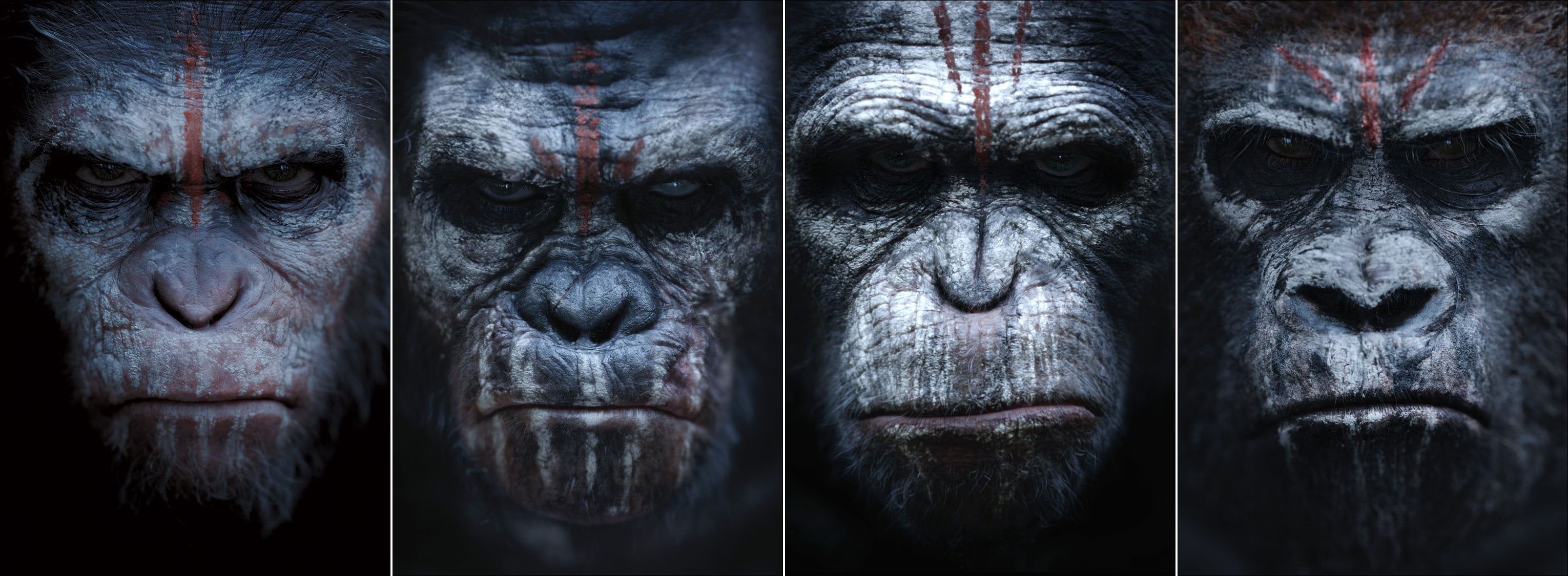 War For The Planet Of The Apes Movie Still Wallpapers