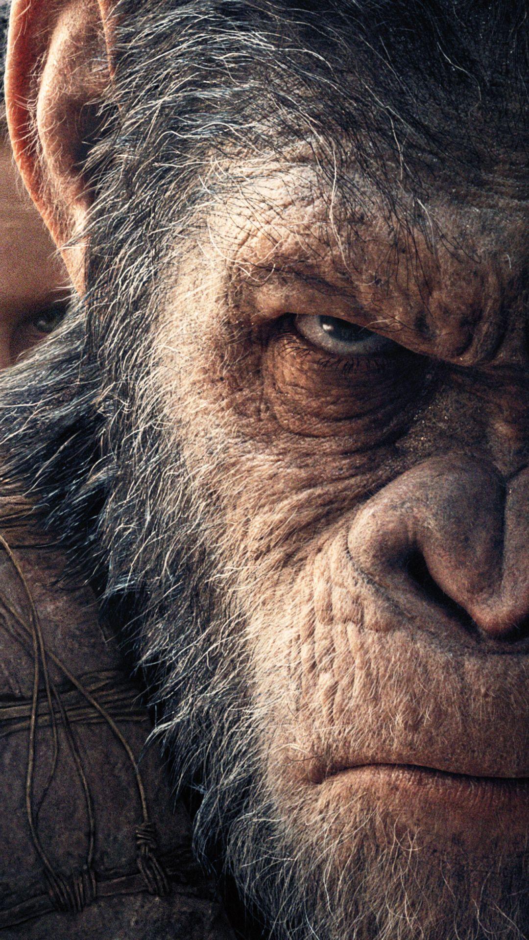 War For The Planet Of The Apes Movie Still Wallpapers