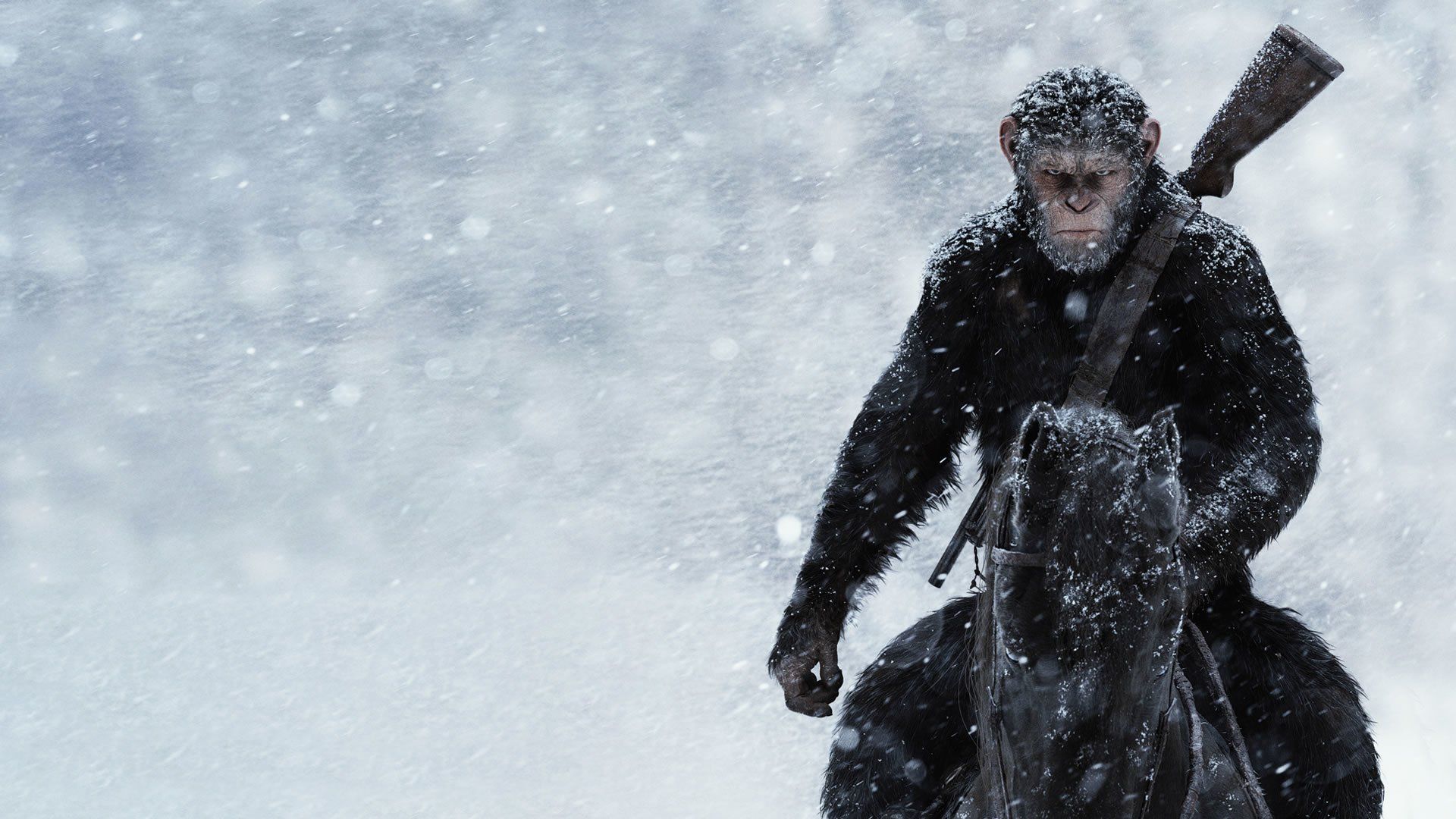 War For The Planet Of The Apes Movie Still Wallpapers