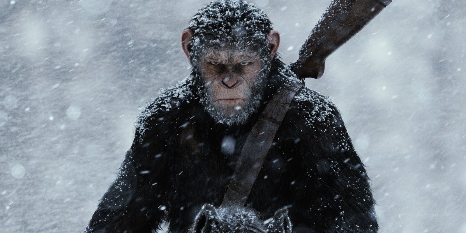 War For The Planet Of The Apes Poster Wallpapers